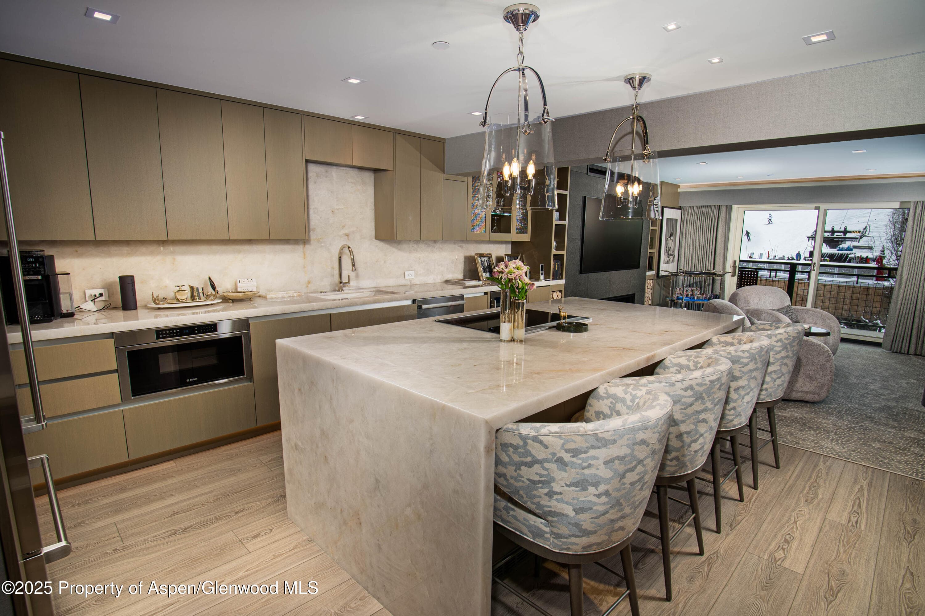 555 E Durant Avenue 3C, Aspen, CO 81611 - Photo 8