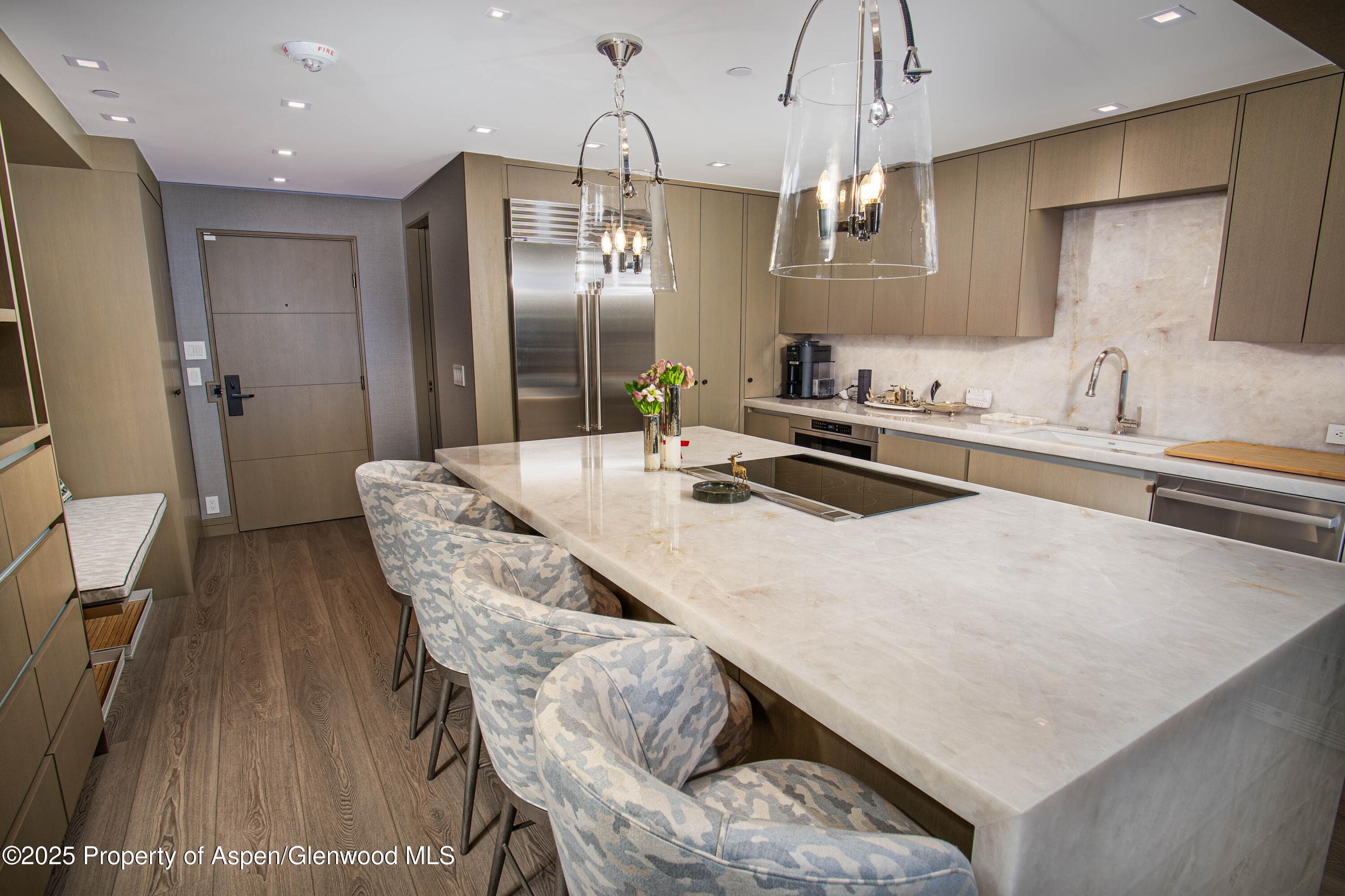 555 E Durant Avenue 3C, Aspen, CO 81611 - Photo 9