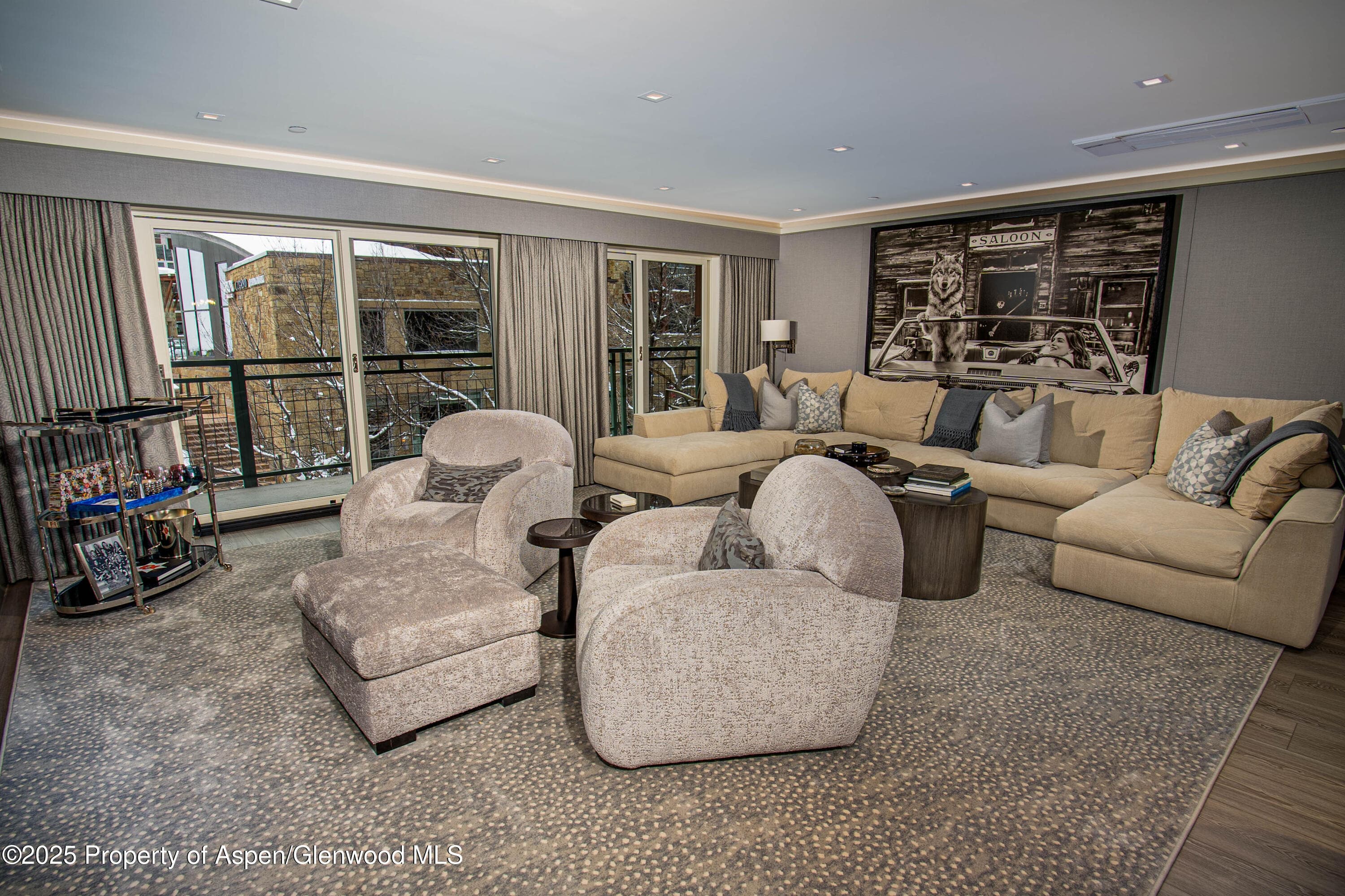 555 E Durant Avenue 3C, Aspen, CO 81611 - Photo 3