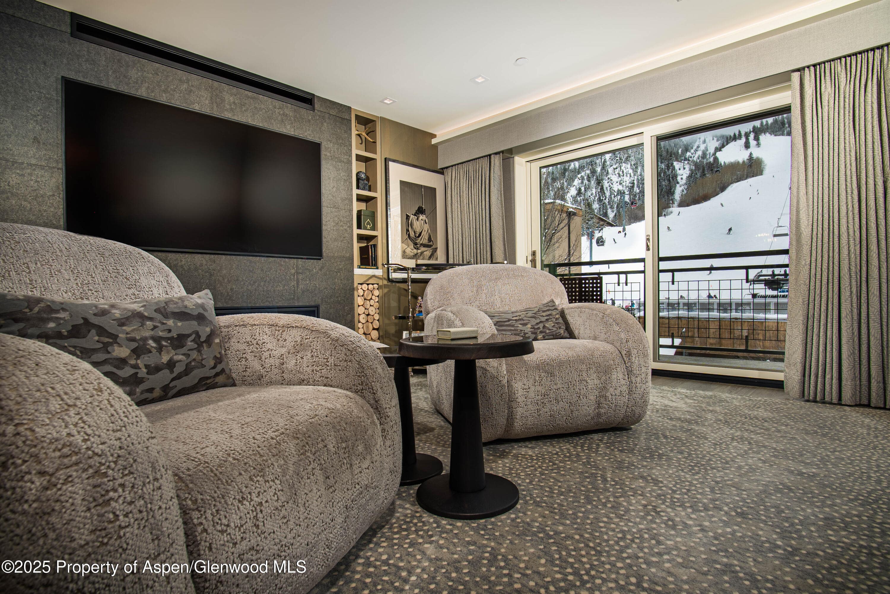 555 E Durant Avenue 3C, Aspen, CO 81611 - Photo 4