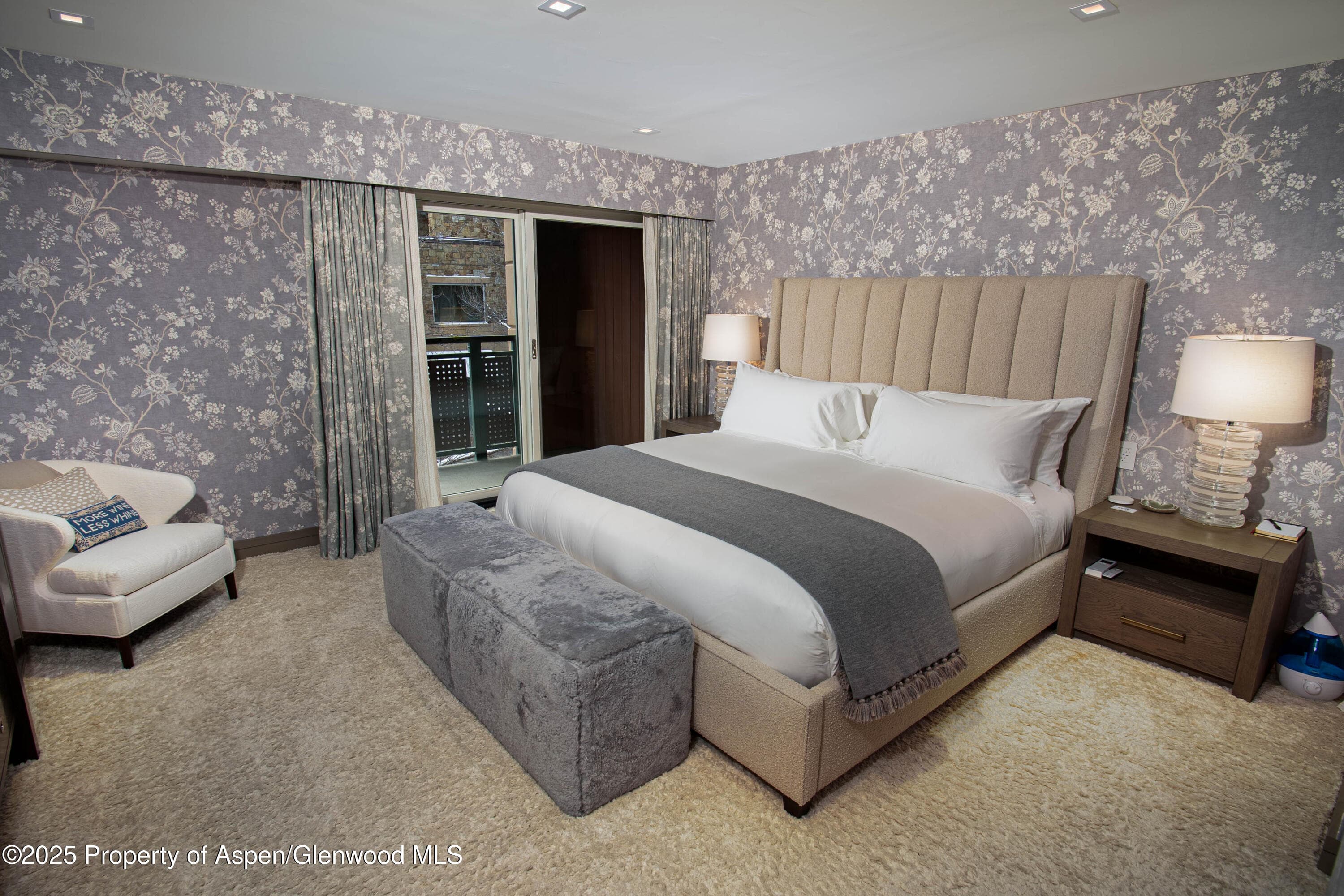 555 E Durant Avenue 3C, Aspen, CO 81611 - Photo 12