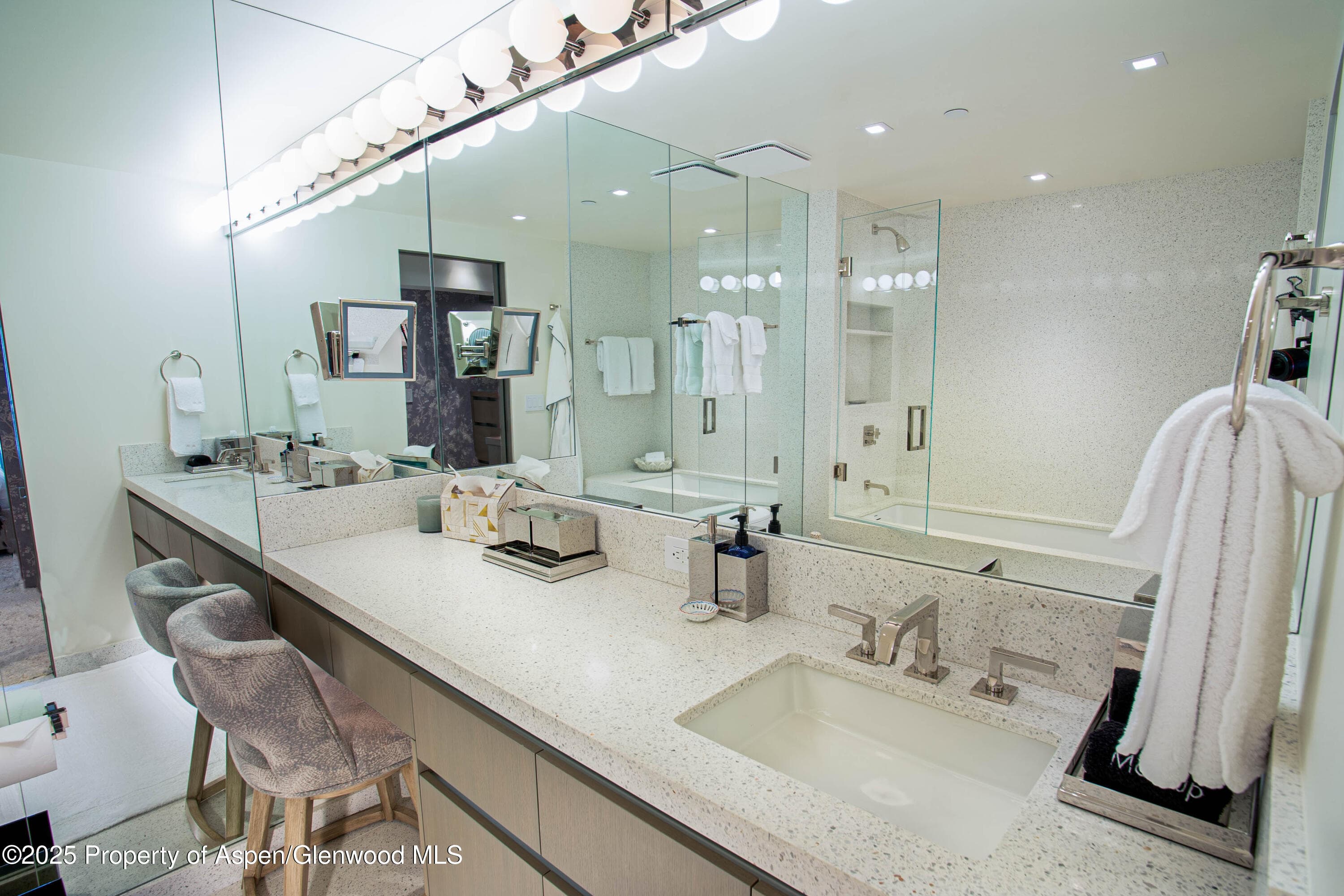 555 E Durant Avenue 3C, Aspen, CO 81611 - Photo 13