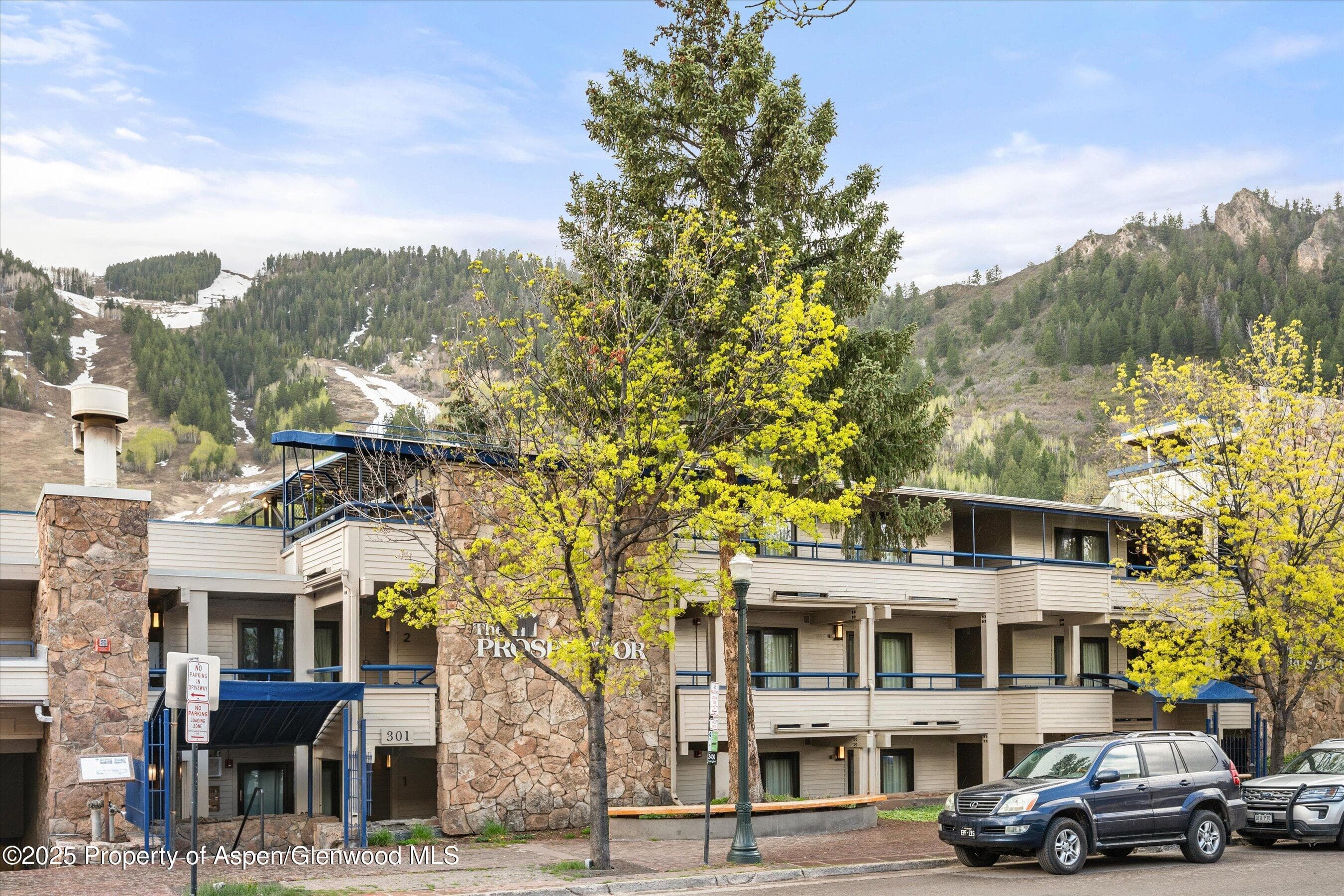 301 E Hyman Avenue 202, Aspen, CO 81611 - Photo 18