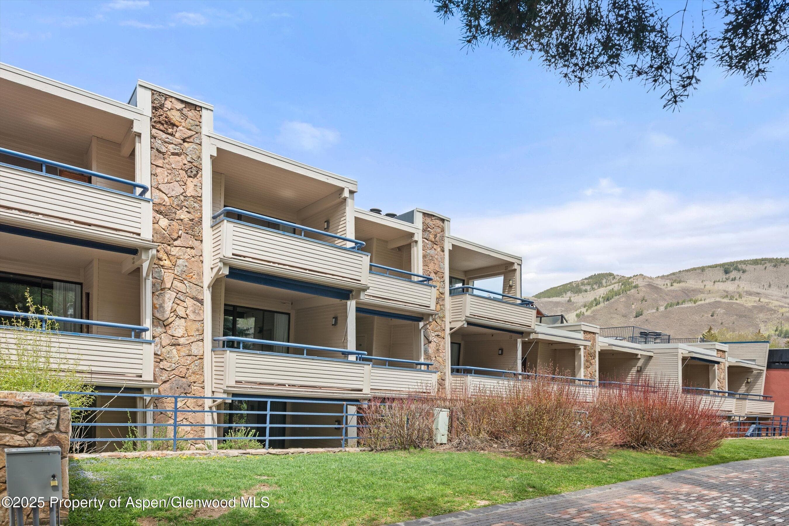 301 E Hyman Avenue 202, Aspen, CO 81611 - Photo 19