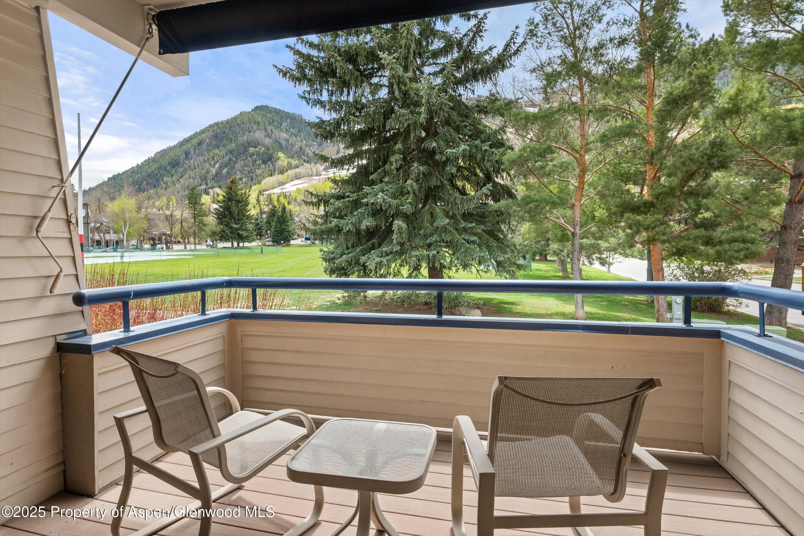 301 E Hyman Avenue 202, Aspen, CO 81611 - Photo 4