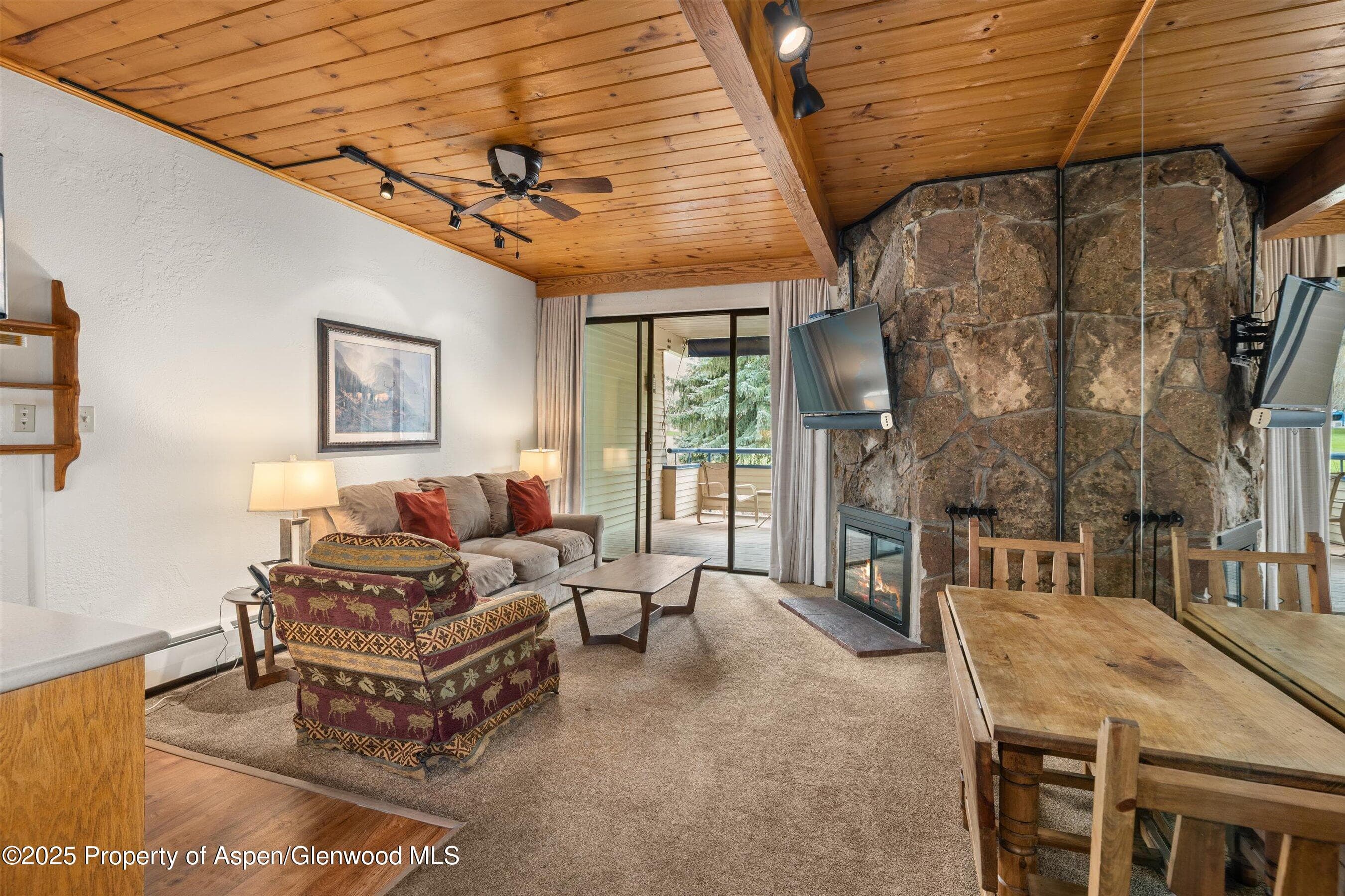 301 E Hyman Avenue 202, Aspen, CO 81611 - Photo 6