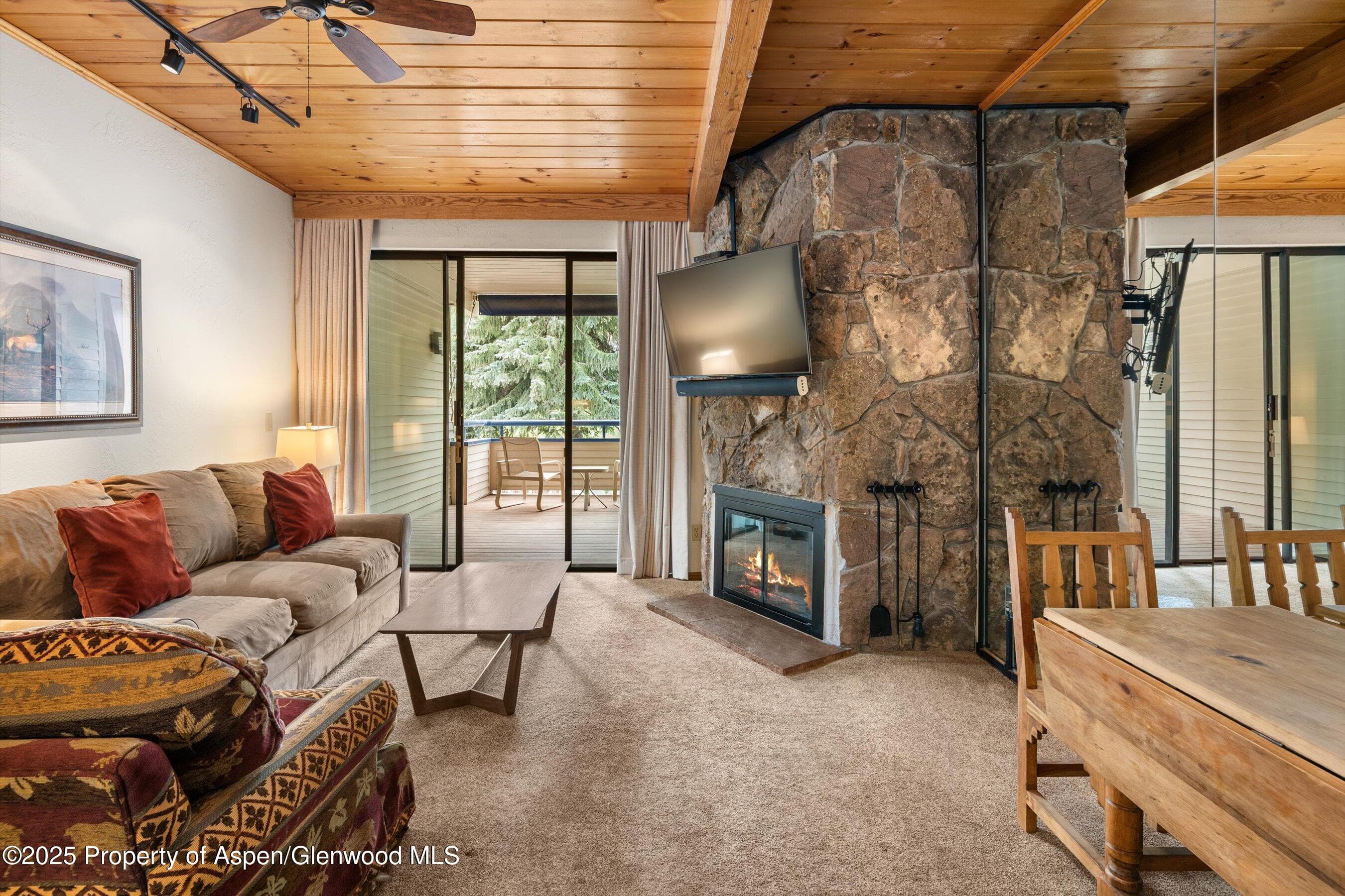 301 E Hyman Avenue 202, Aspen, CO 81611 - Photo 7