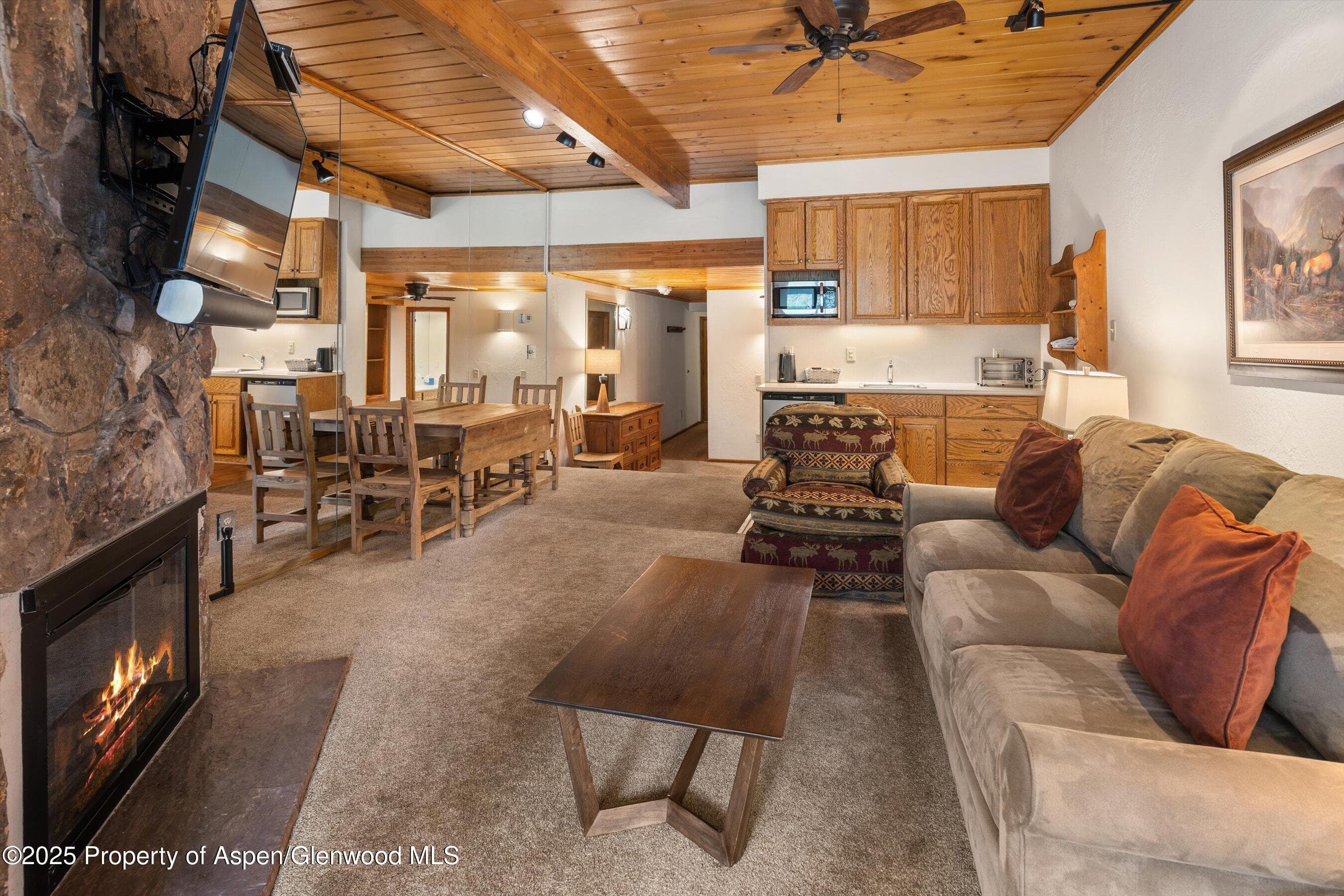 301 E Hyman Avenue 202, Aspen, CO 81611 - Photo 8