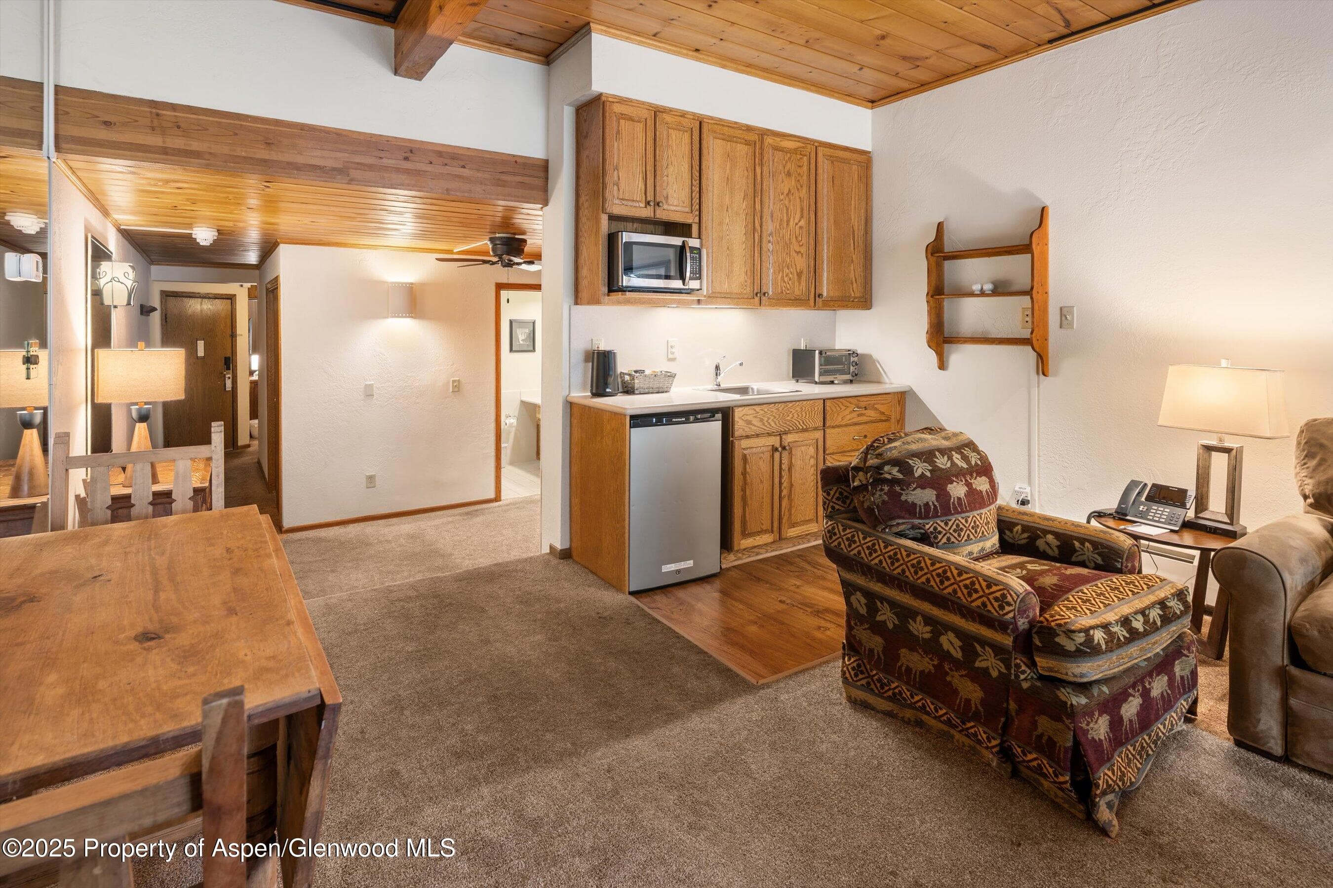 301 E Hyman Avenue 202, Aspen, CO 81611 - Photo 9