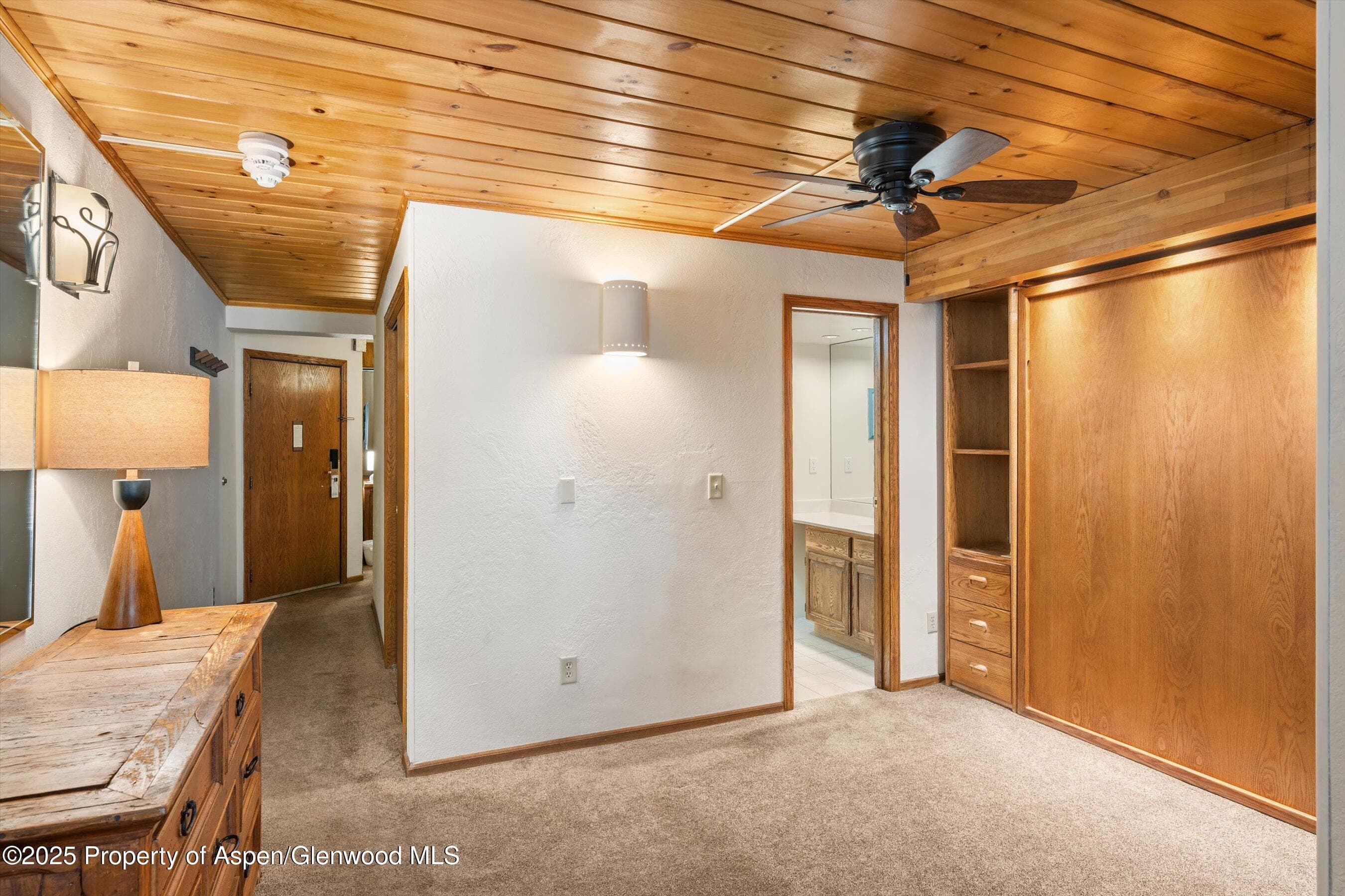 301 E Hyman Avenue 202, Aspen, CO 81611 - Photo 11