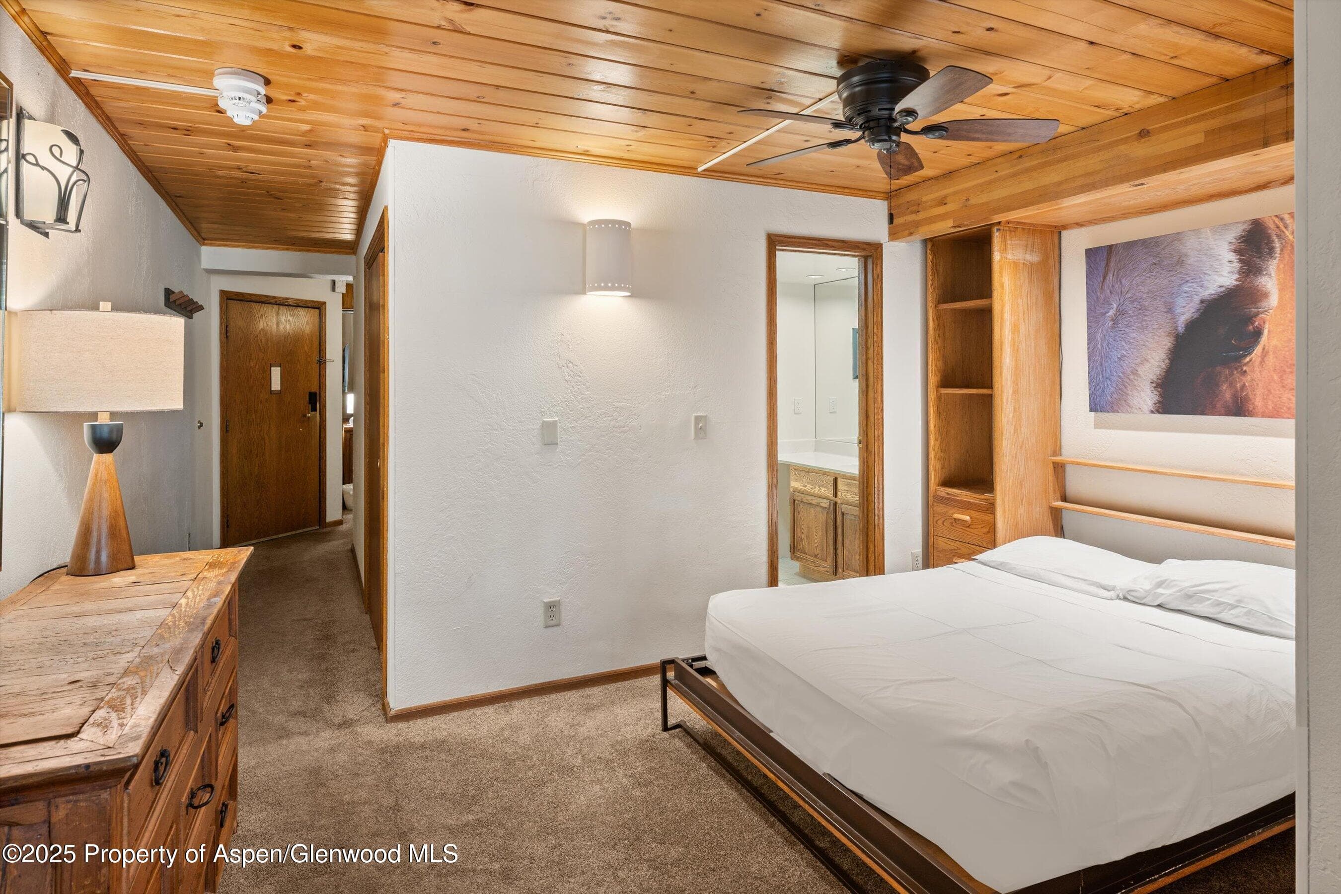 301 E Hyman Avenue 202, Aspen, CO 81611 - Photo 12