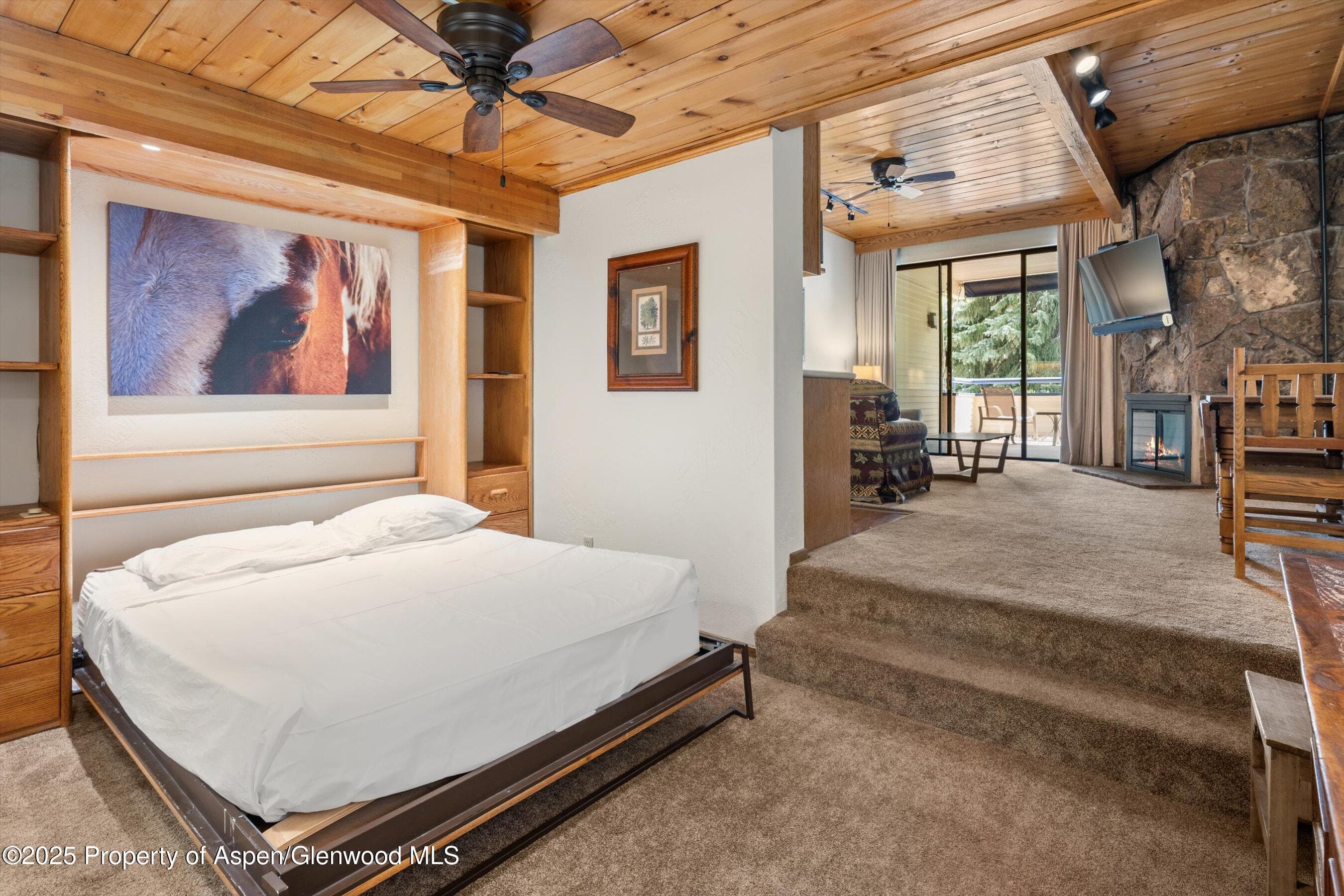 301 E Hyman Avenue 202, Aspen, CO 81611 - Photo 2