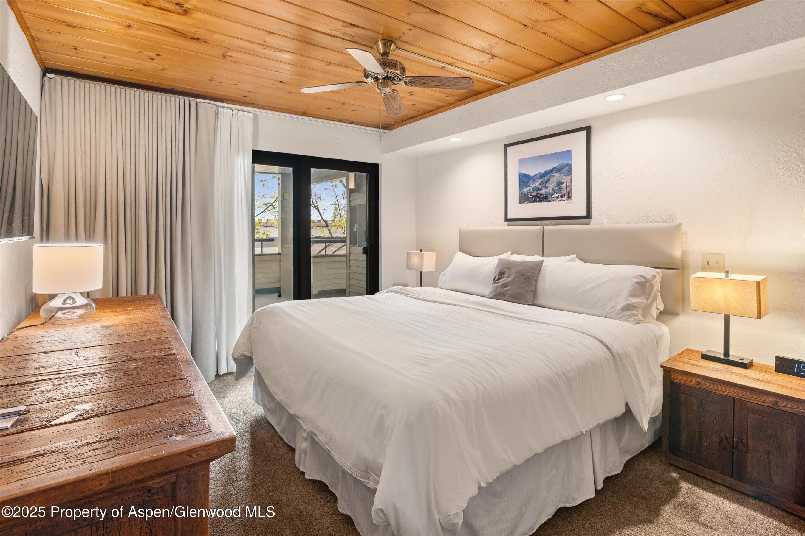301 E Hyman Avenue 202, Aspen, CO 81611 - Photo 1