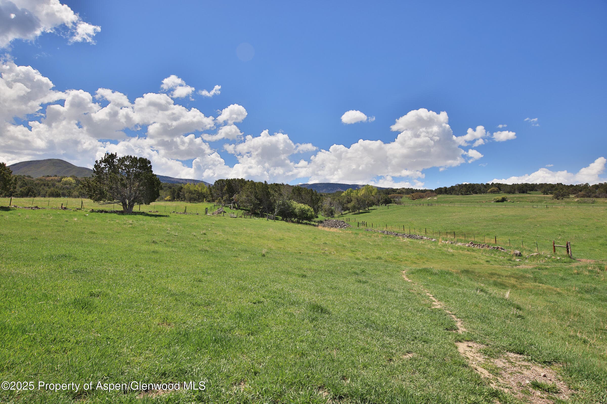 10491 54 7/10 Road, Molina, CO 81646 - Photo 42