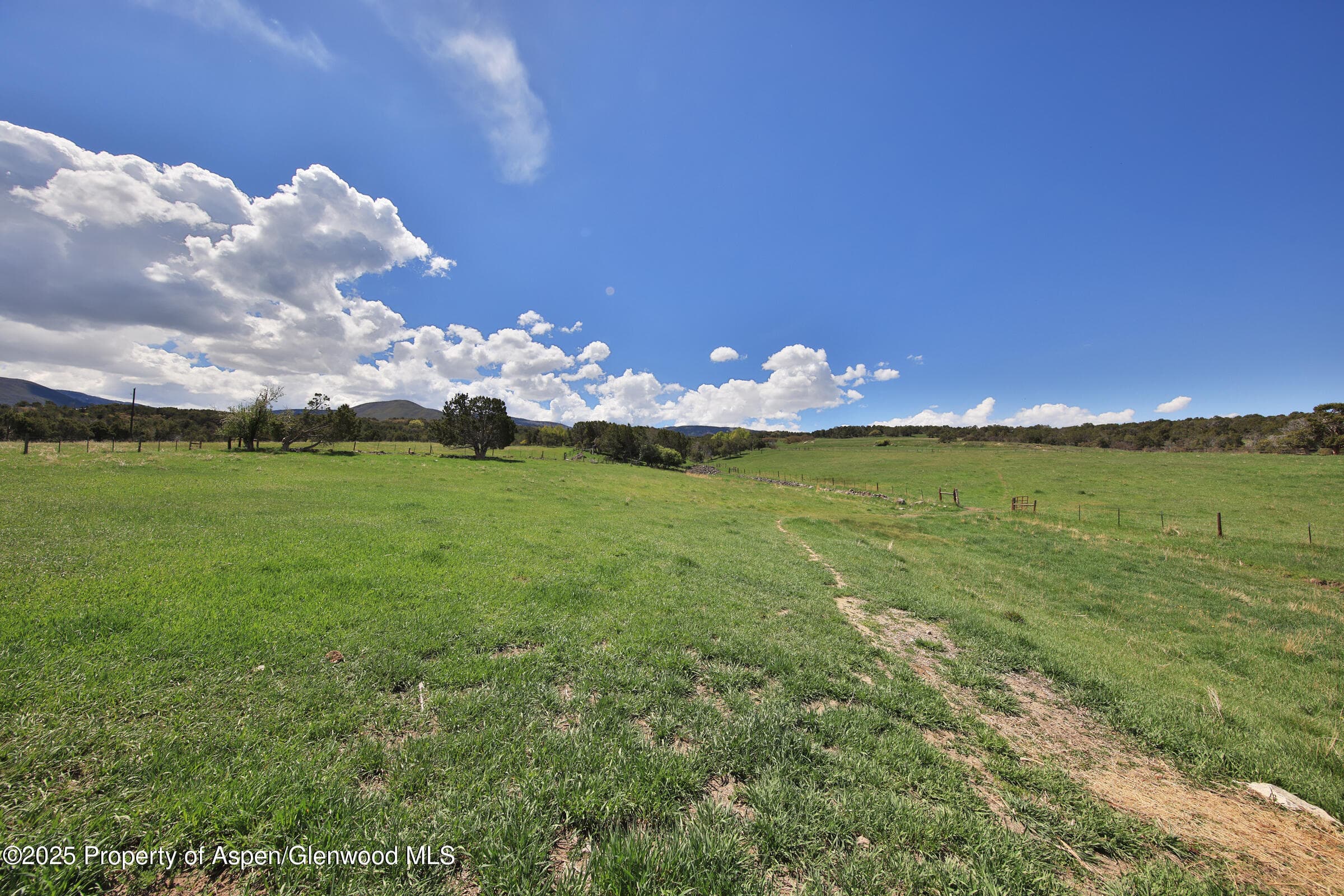 10491 54 7/10 Road, Molina, CO 81646 - Photo 43