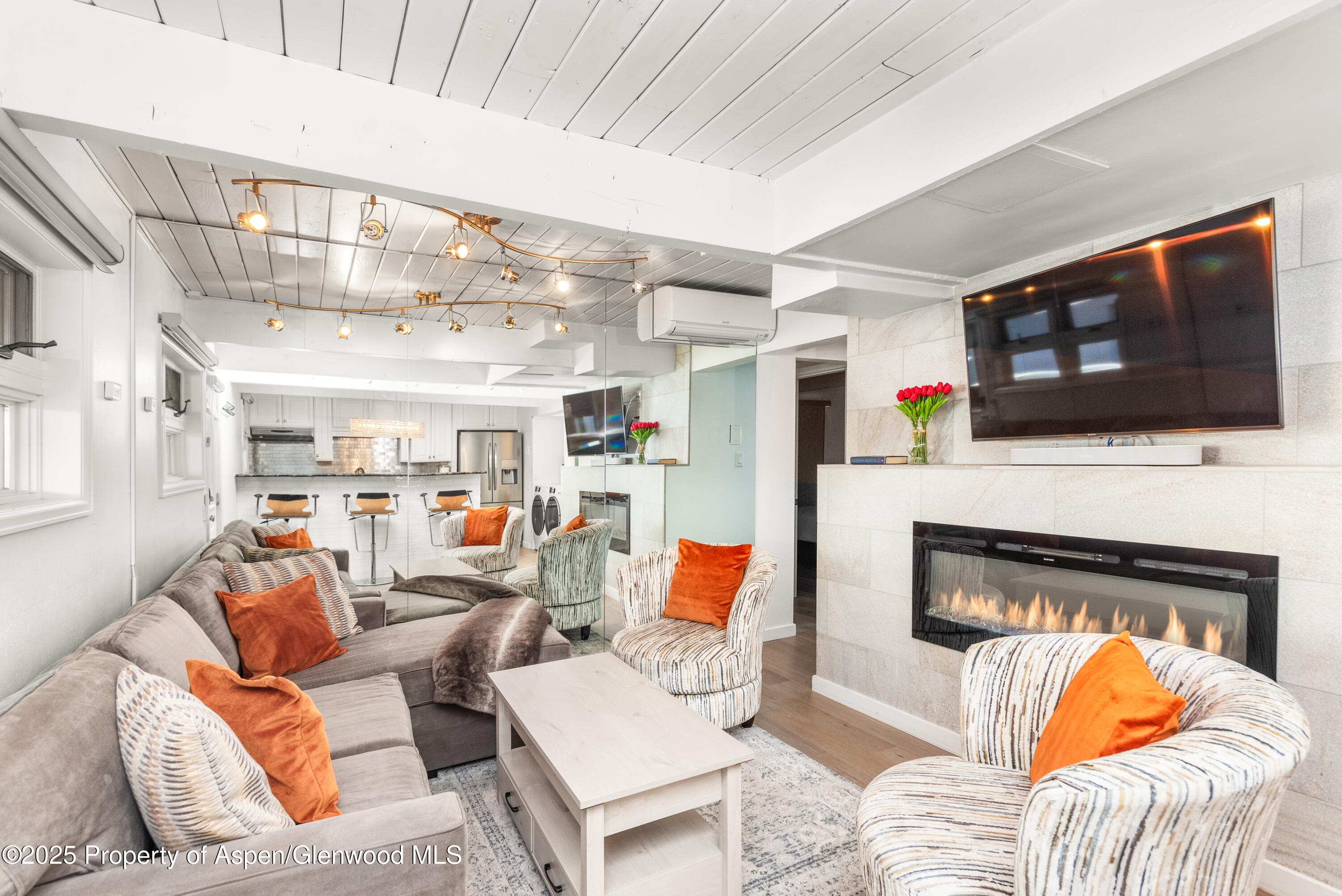 630 E Cooper Avenue 4, Aspen, CO 81611 - Photo 3