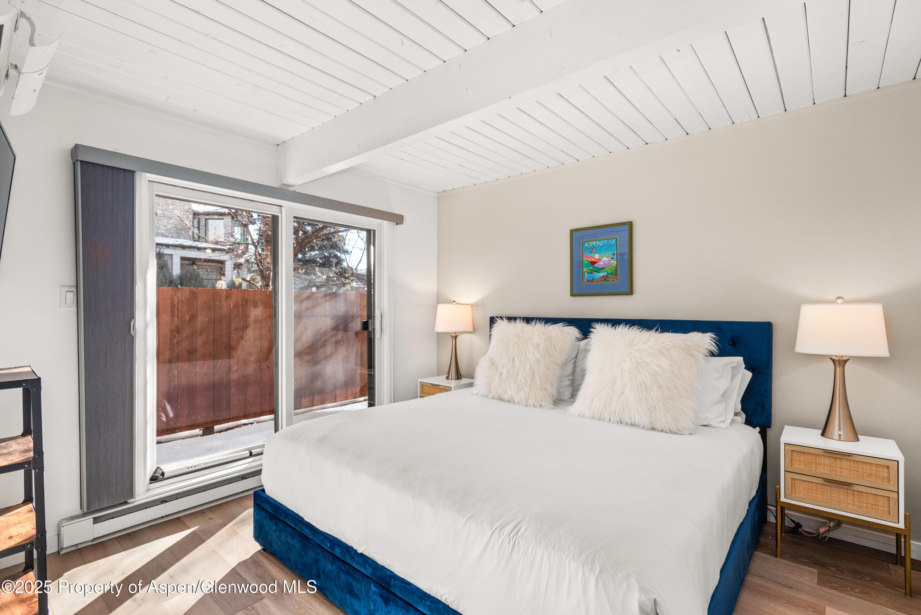 630 E Cooper Avenue 4, Aspen, CO 81611 - Photo 7