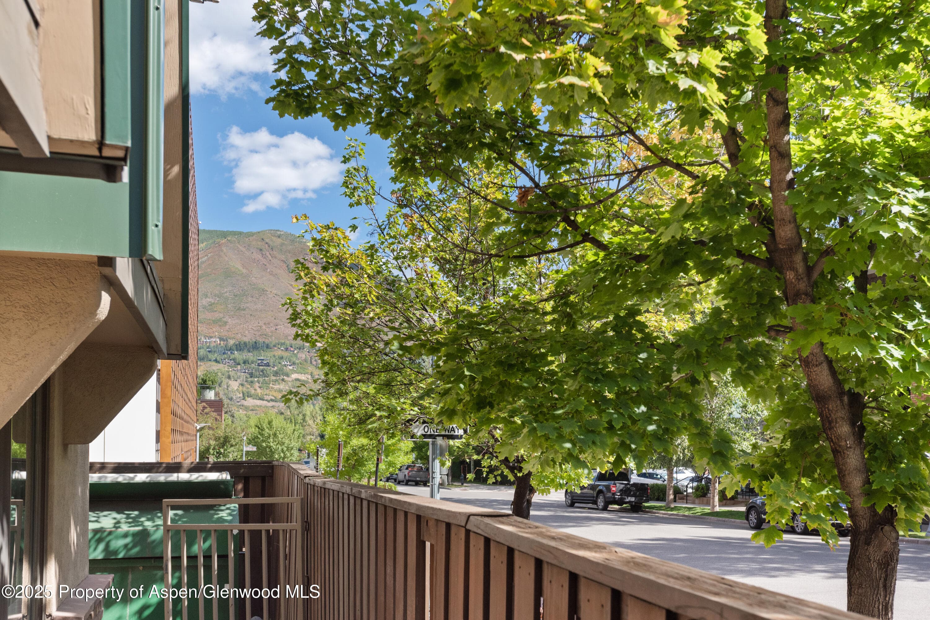 630 E Cooper Avenue 4, Aspen, CO 81611 - Photo 15