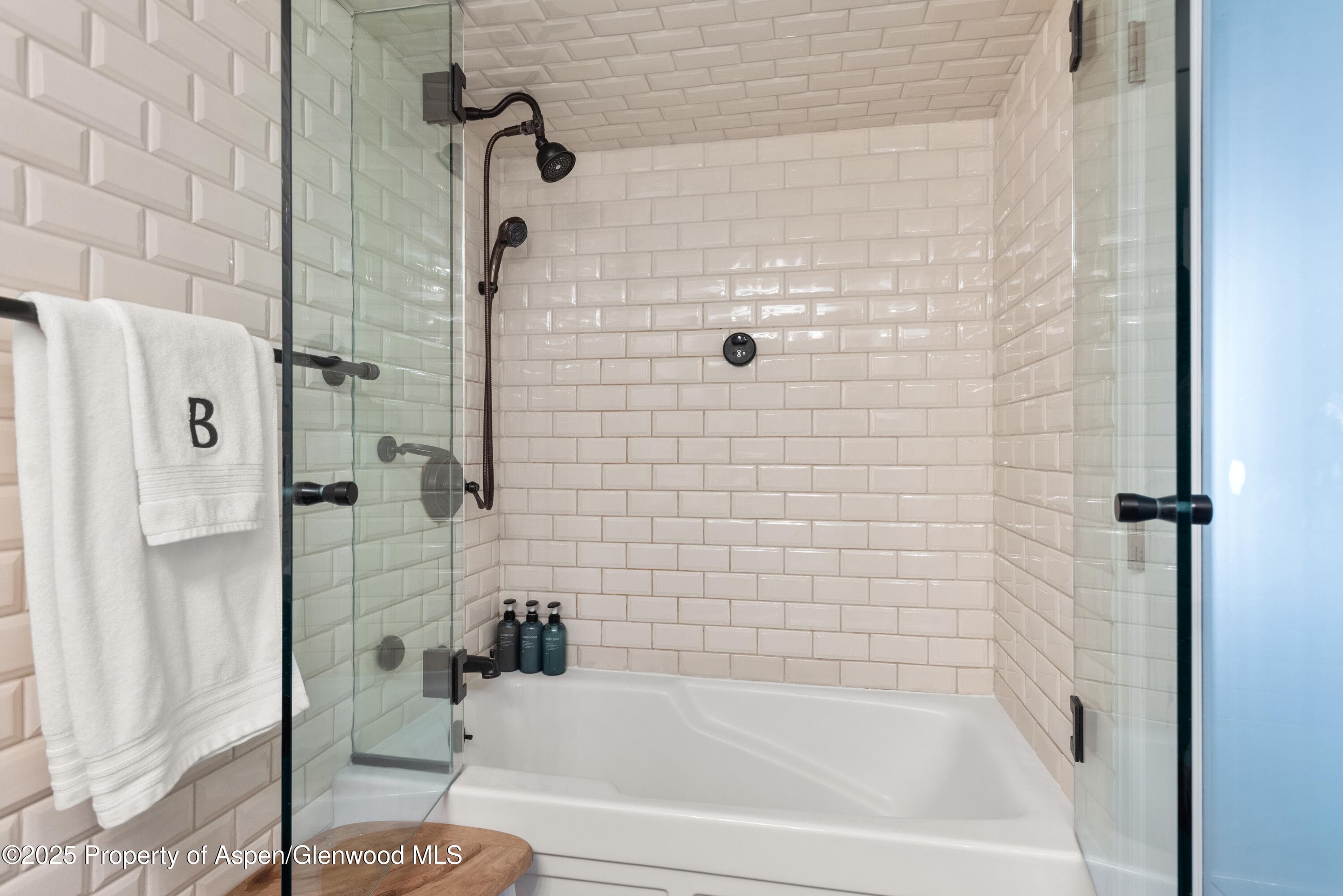 630 E Cooper Avenue 4, Aspen, CO 81611 - Photo 10
