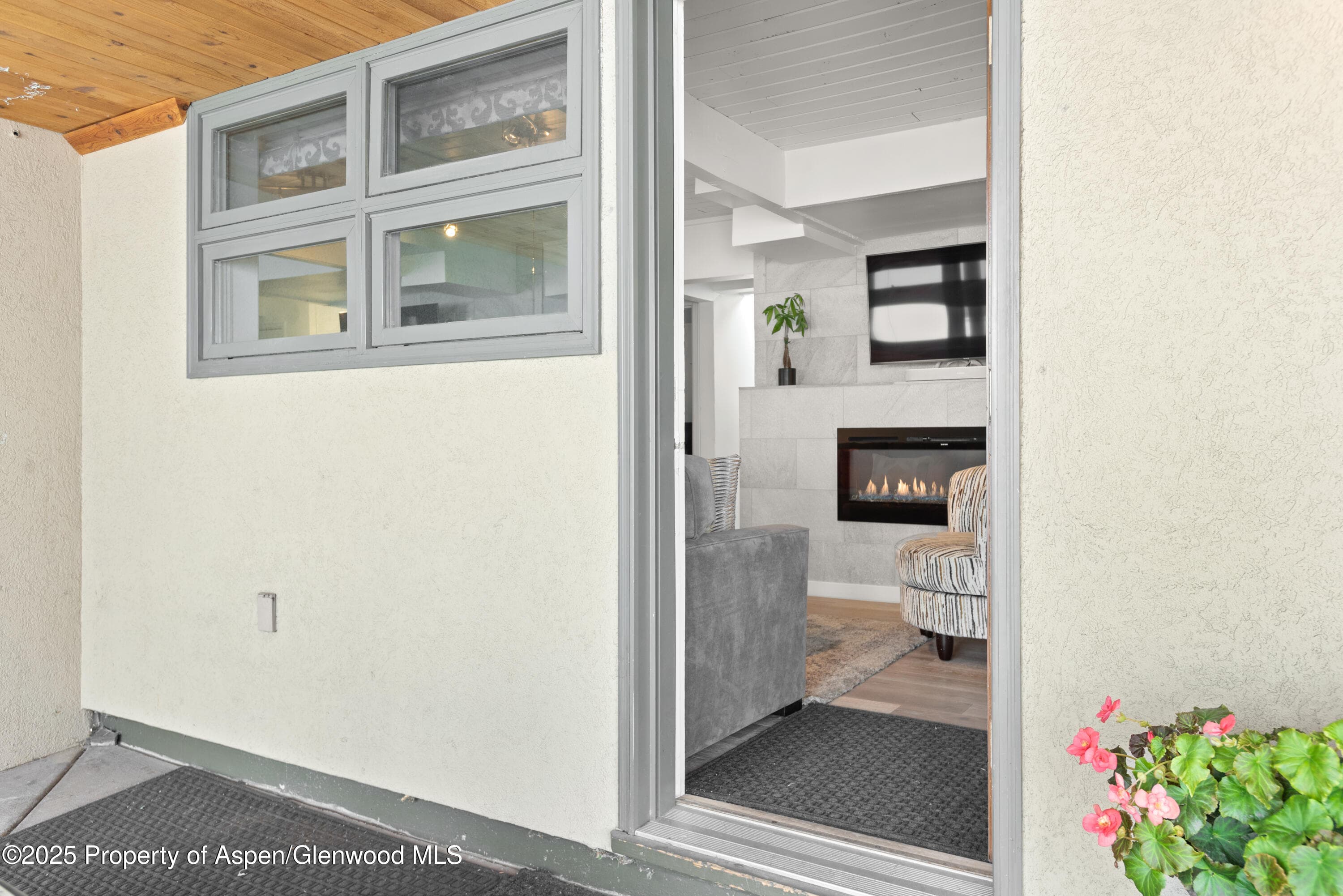 630 E Cooper Avenue 4, Aspen, CO 81611 - Photo 14