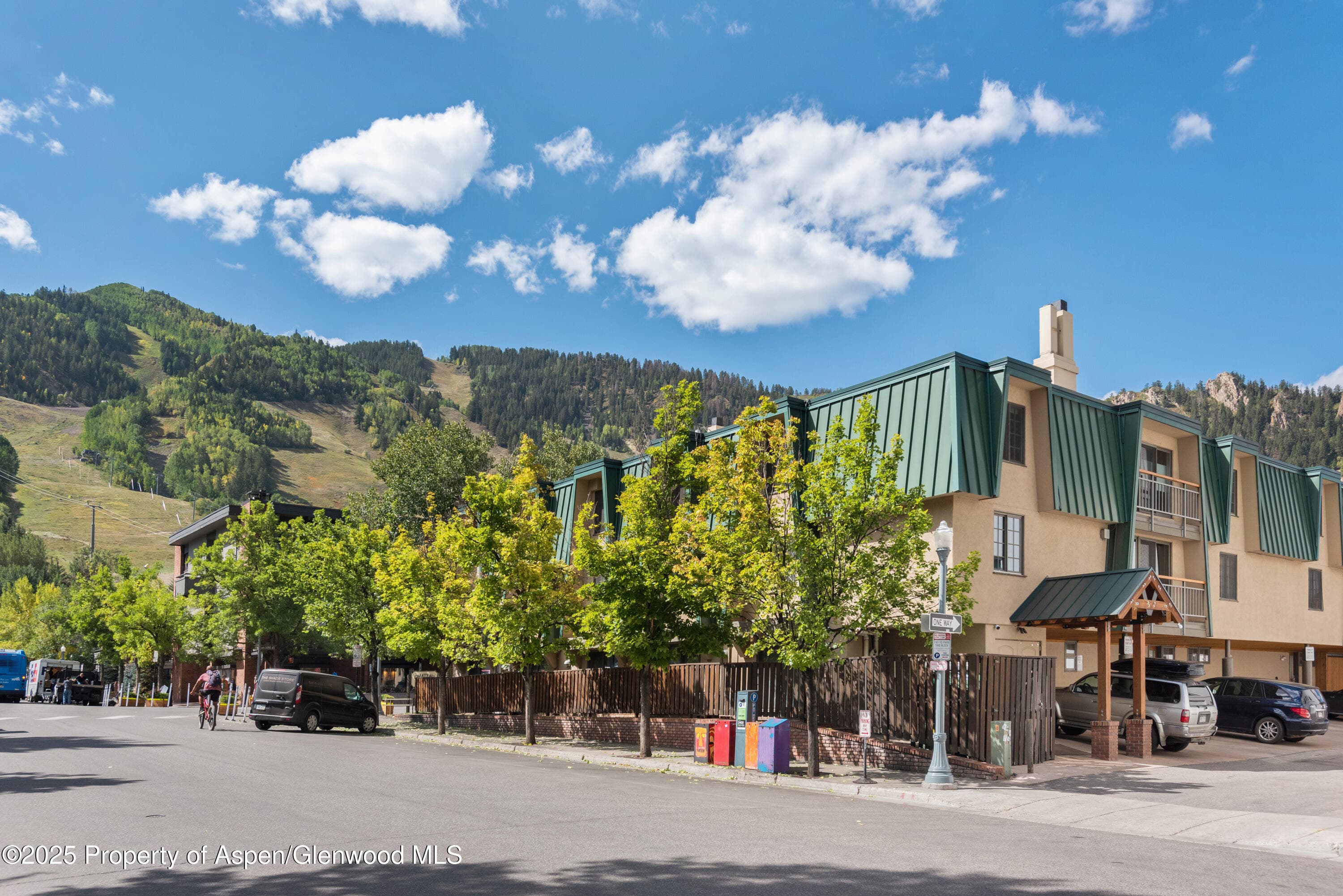 630 E Cooper Avenue 4, Aspen, CO 81611 - Photo 13