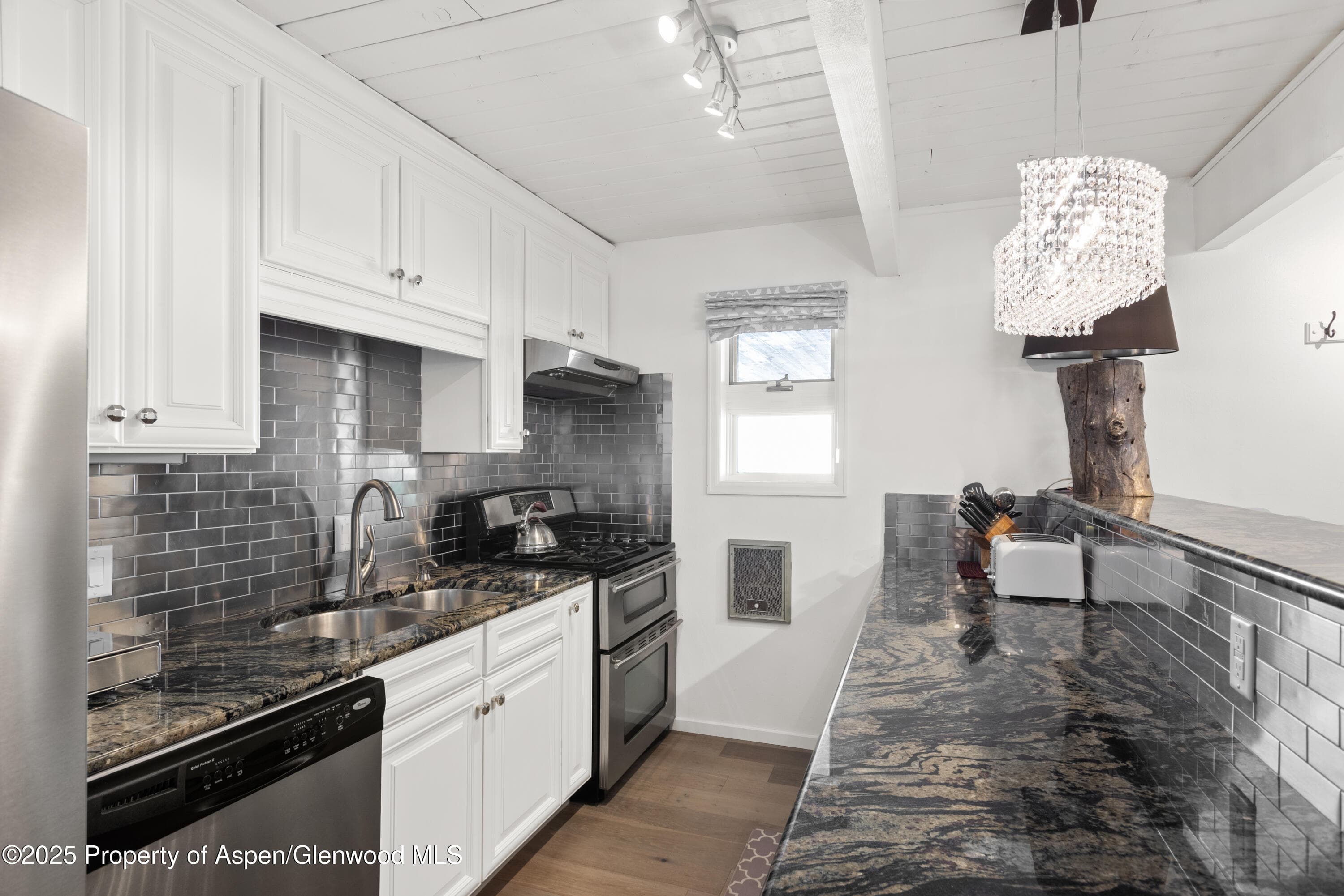 630 E Cooper Avenue 4, Aspen, CO 81611 - Photo 4