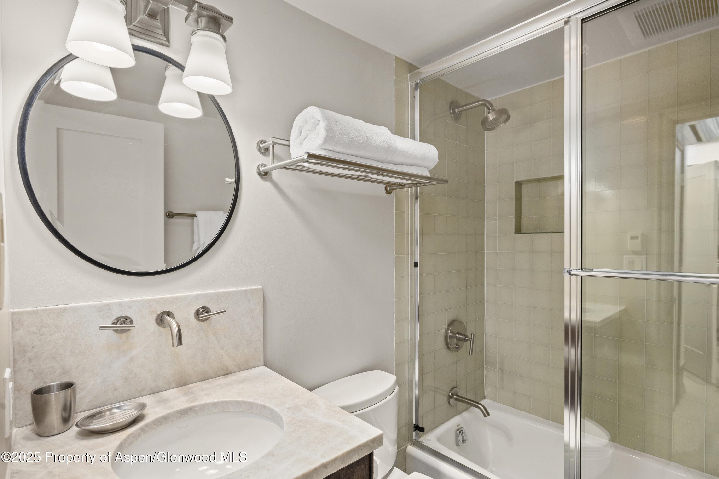 940 Waters Avenue 309, Aspen, CO 81611 - Photo 14