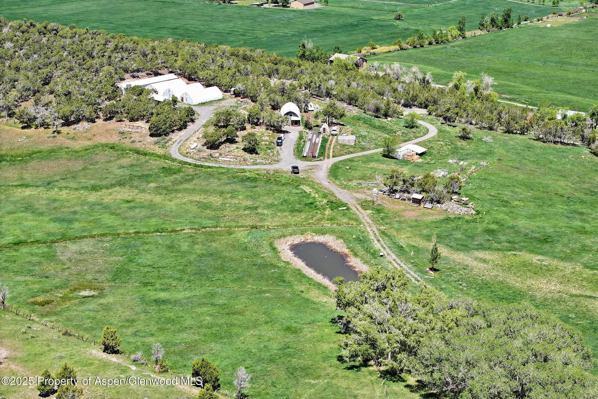 57191 ME Road, Collbran, CO 81624 - Photo 8
