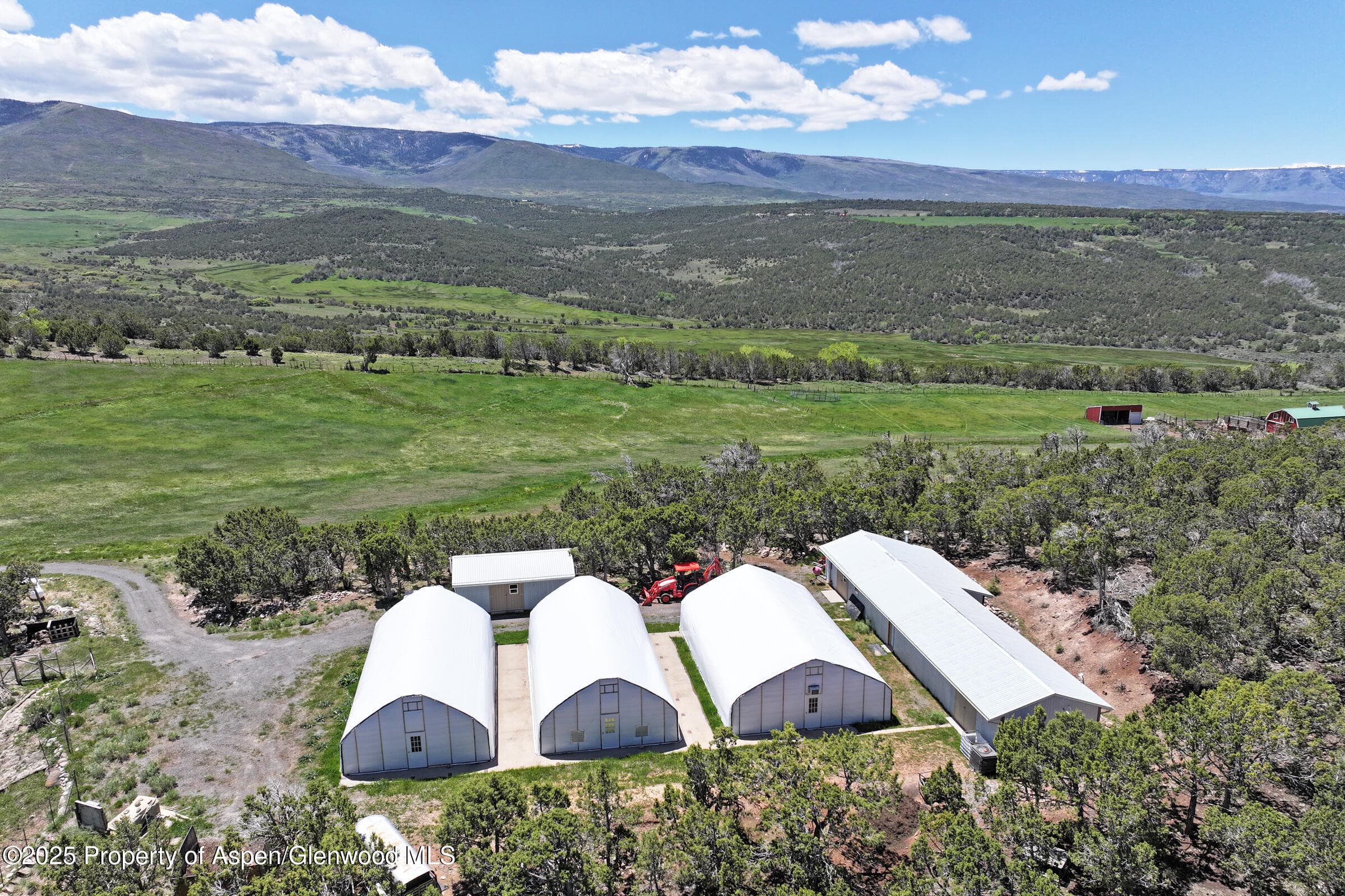 57191 ME Road, Collbran, CO 81624 - Photo 34
