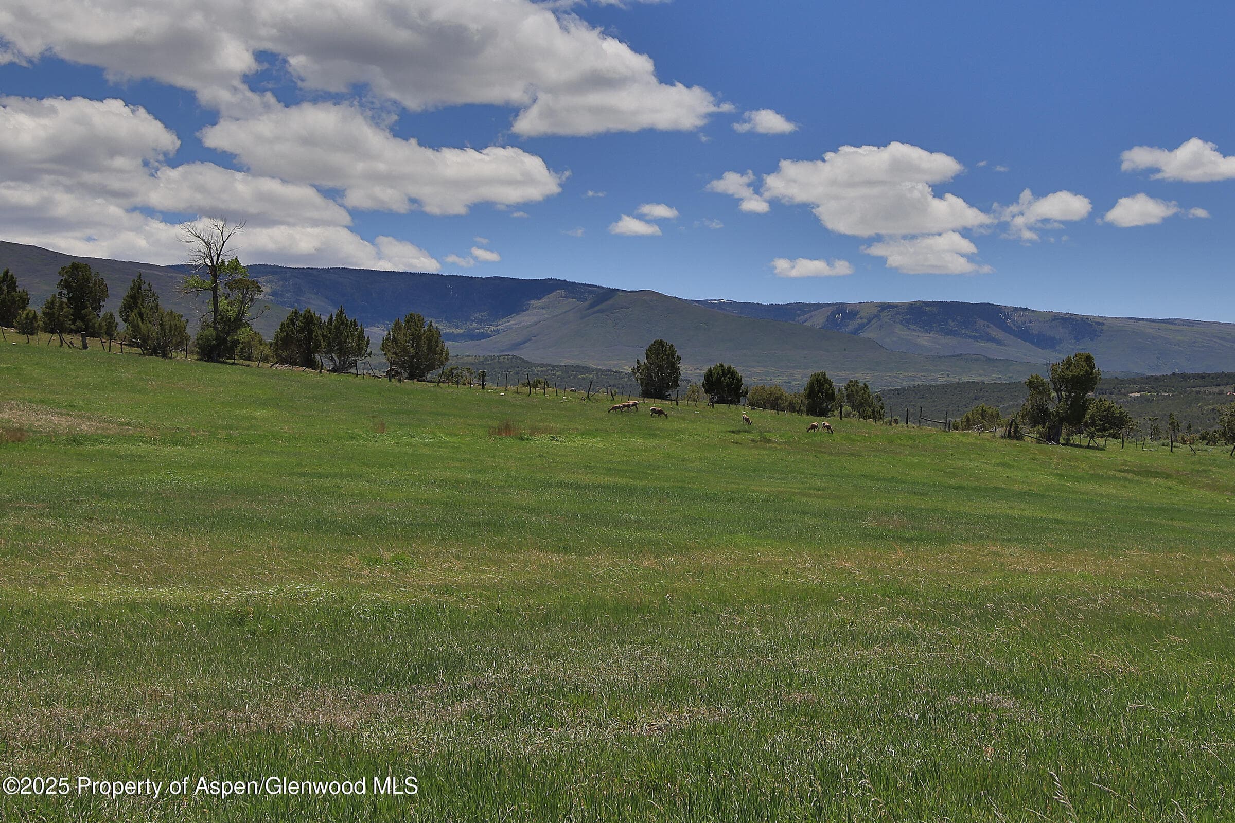 57191 ME Road, Collbran, CO 81624 - Photo 41
