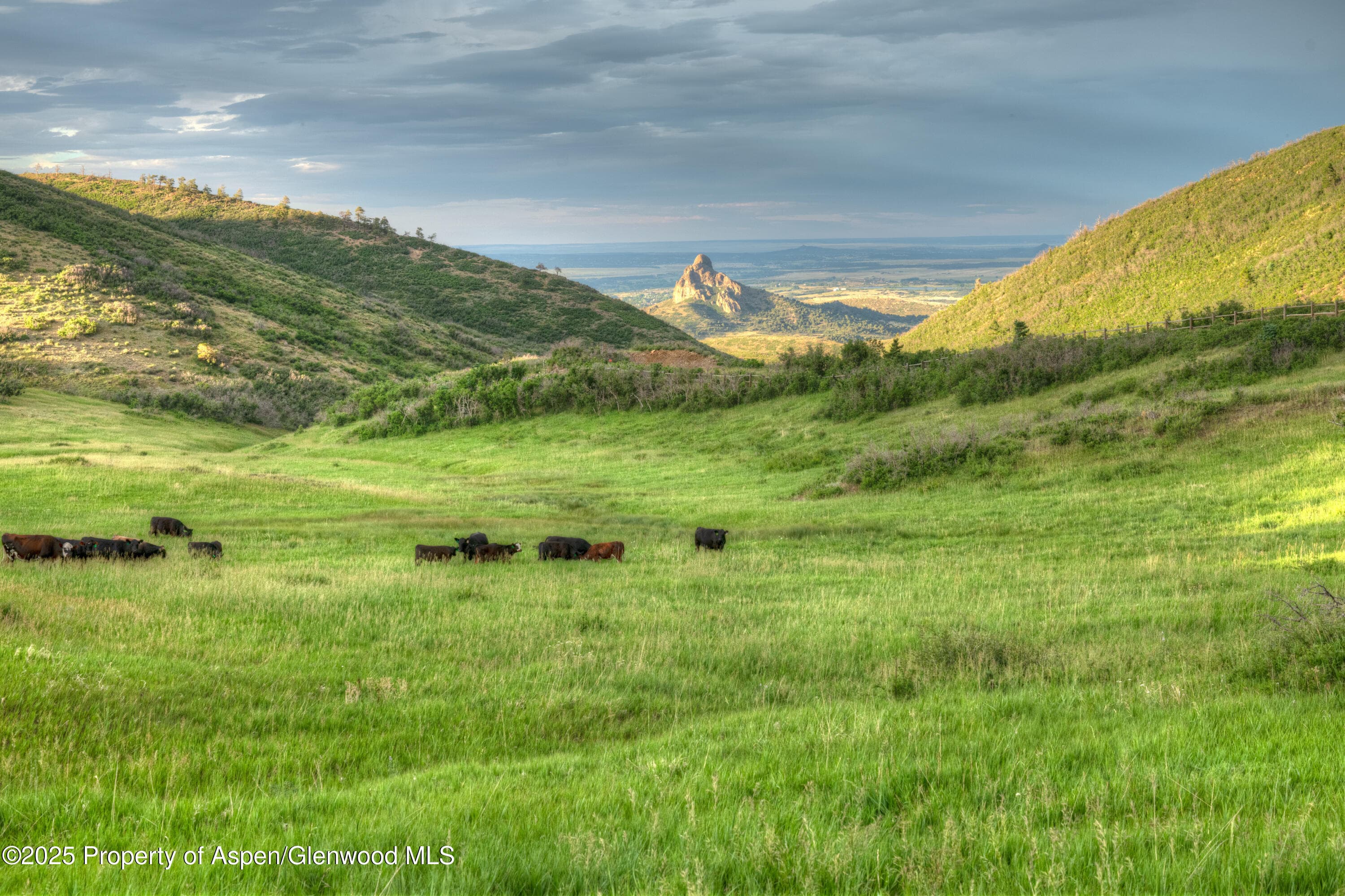 850 Rilling Canyon Road, La Veta, CO 81055 - Photo 11