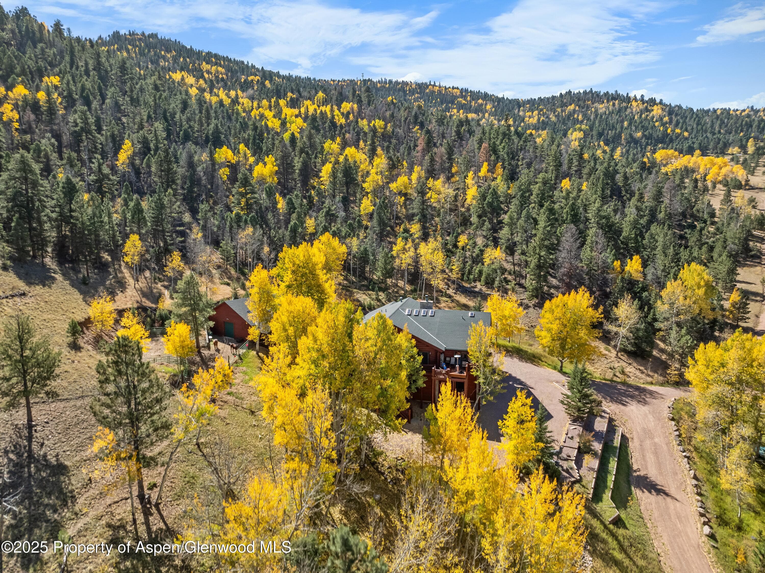 3115 State Hwy 9, Guffey, CO 80820 - Photo 8