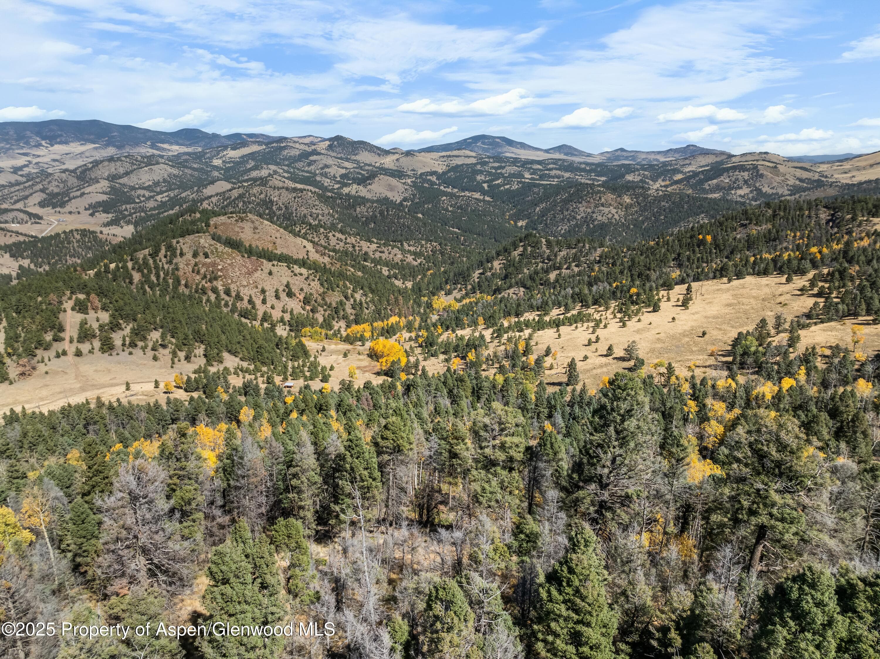 3115 State Hwy 9, Guffey, CO 80820 - Photo 10