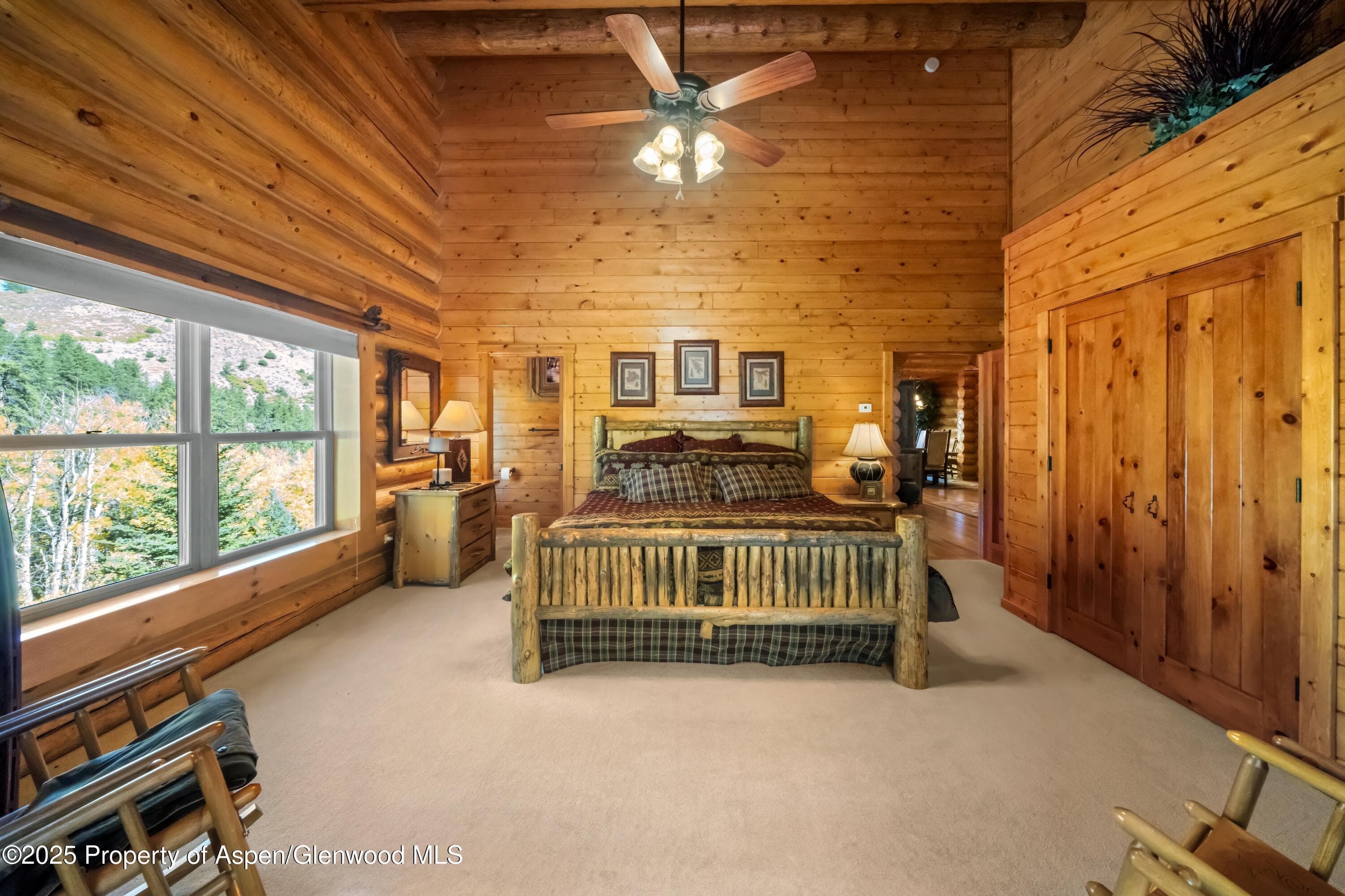 3115 State Hwy 9, Guffey, CO 80820 - Photo 21