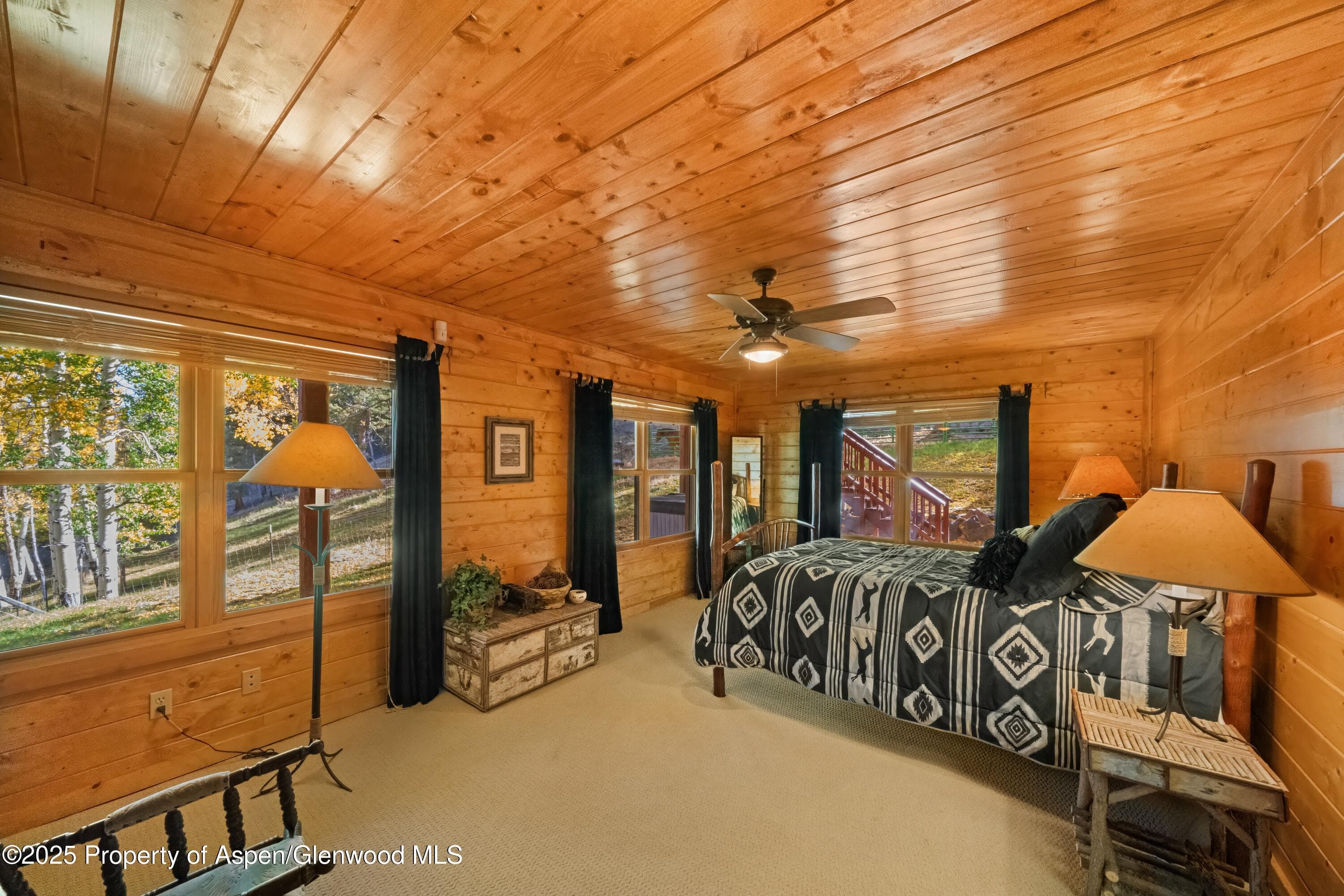 3115 State Hwy 9, Guffey, CO 80820 - Photo 25