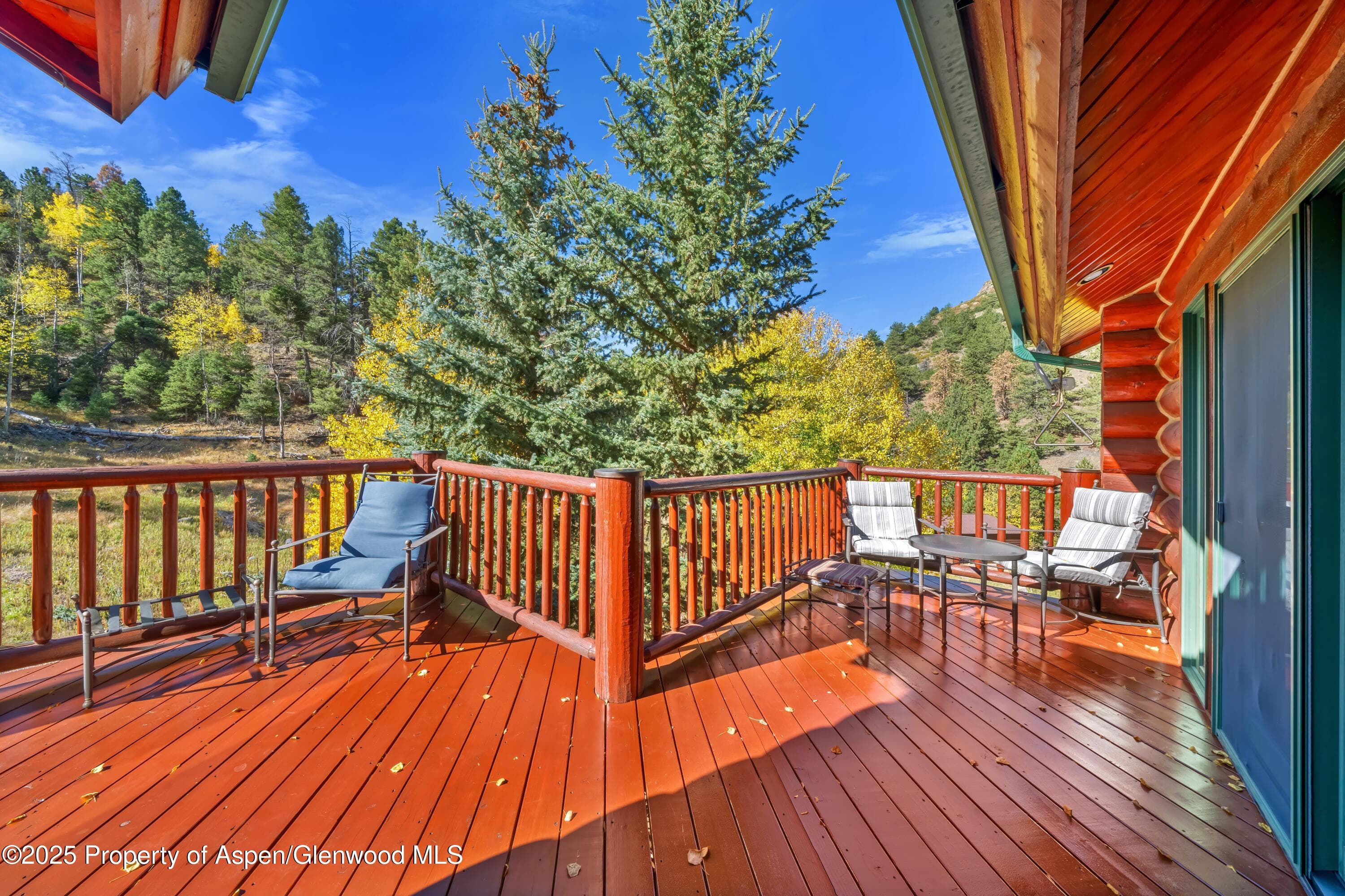 3115 State Hwy 9, Guffey, CO 80820 - Photo 33