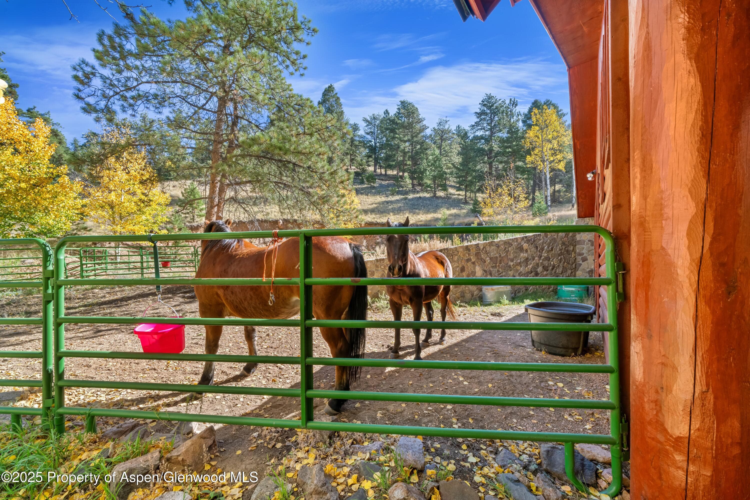 3115 State Hwy 9, Guffey, CO 80820 - Photo 36