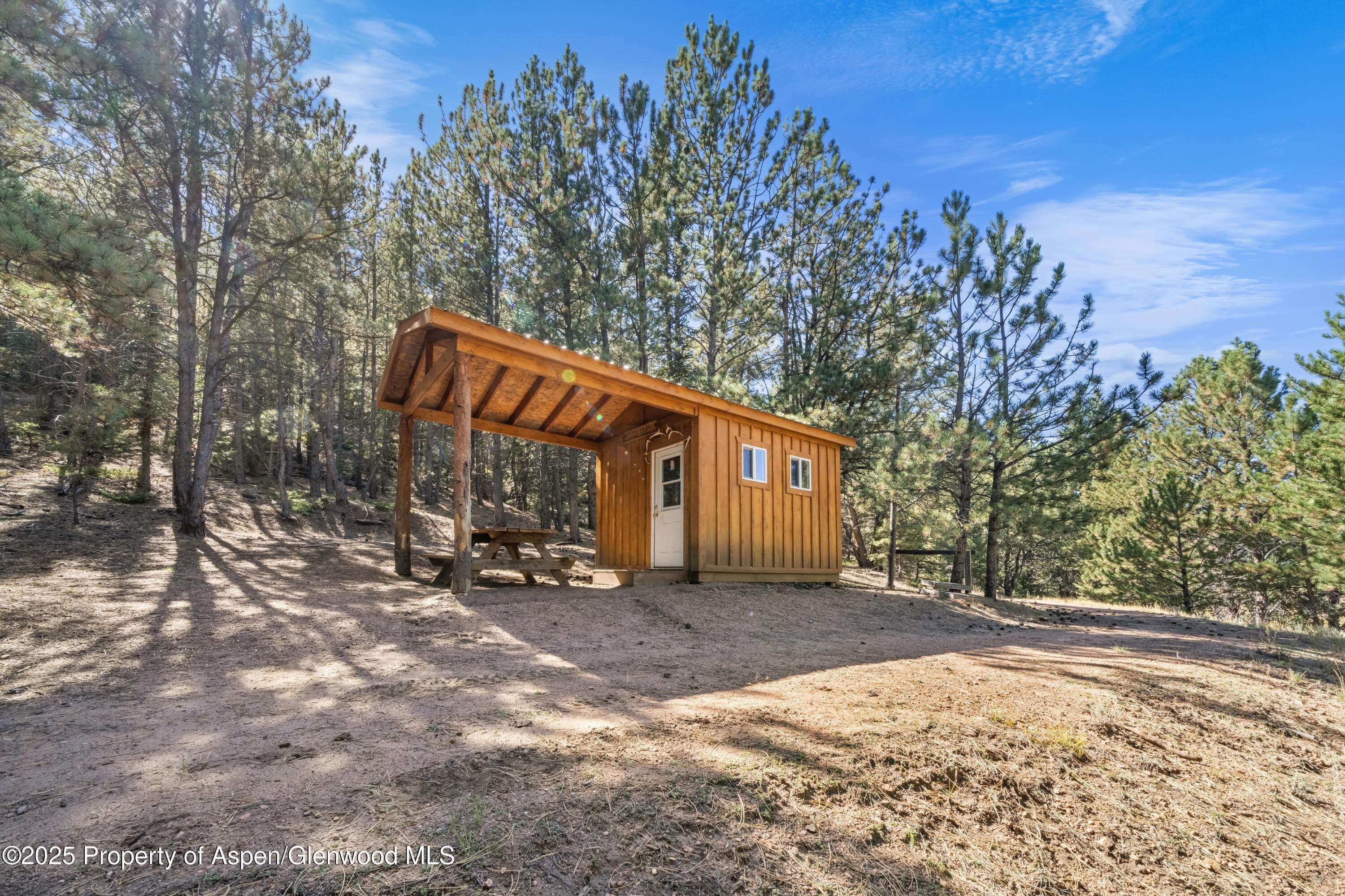 3115 State Hwy 9, Guffey, CO 80820 - Photo 40
