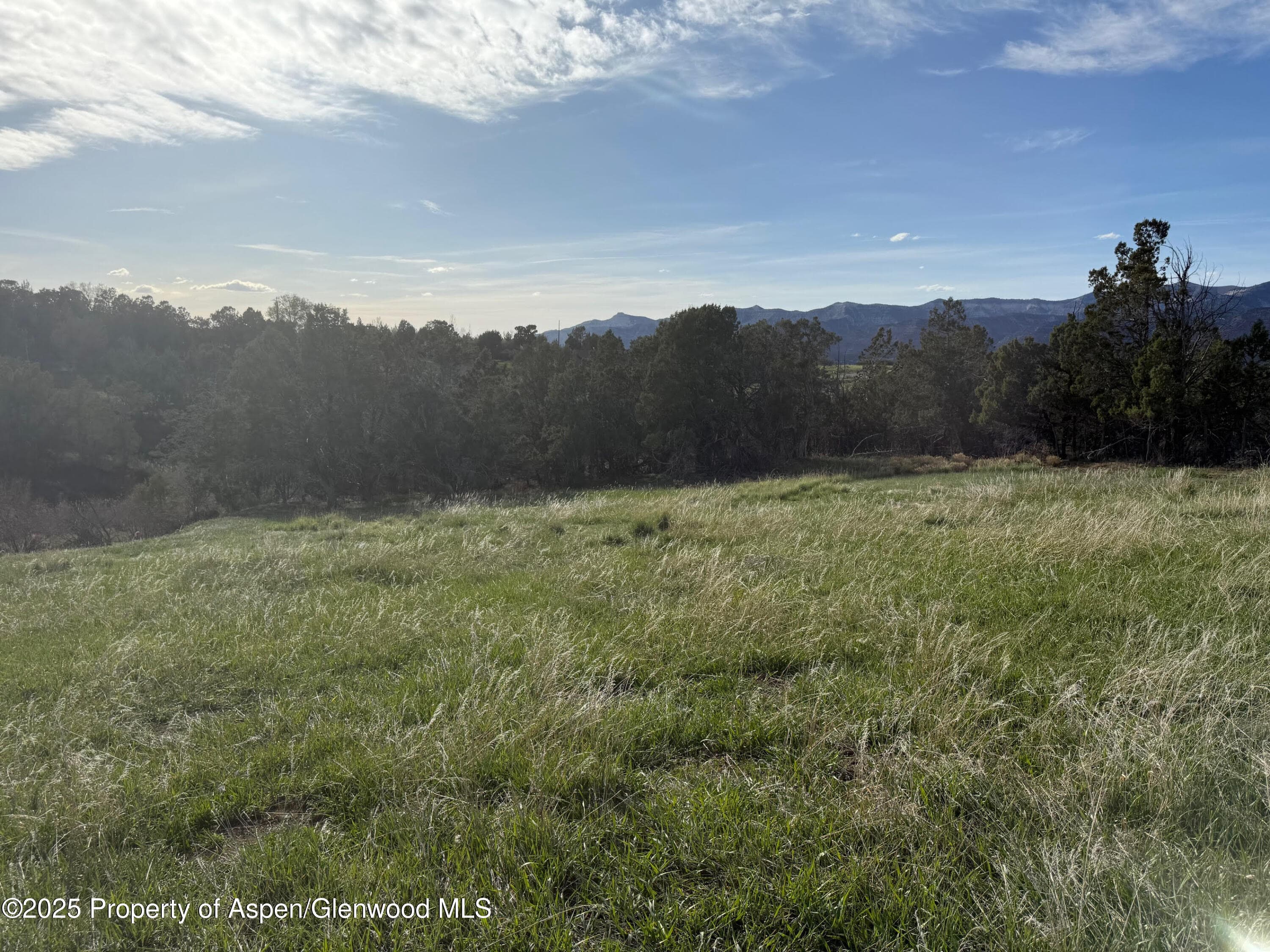 14495 Scott Loop, Collbran, CO 81624 - Photo 2