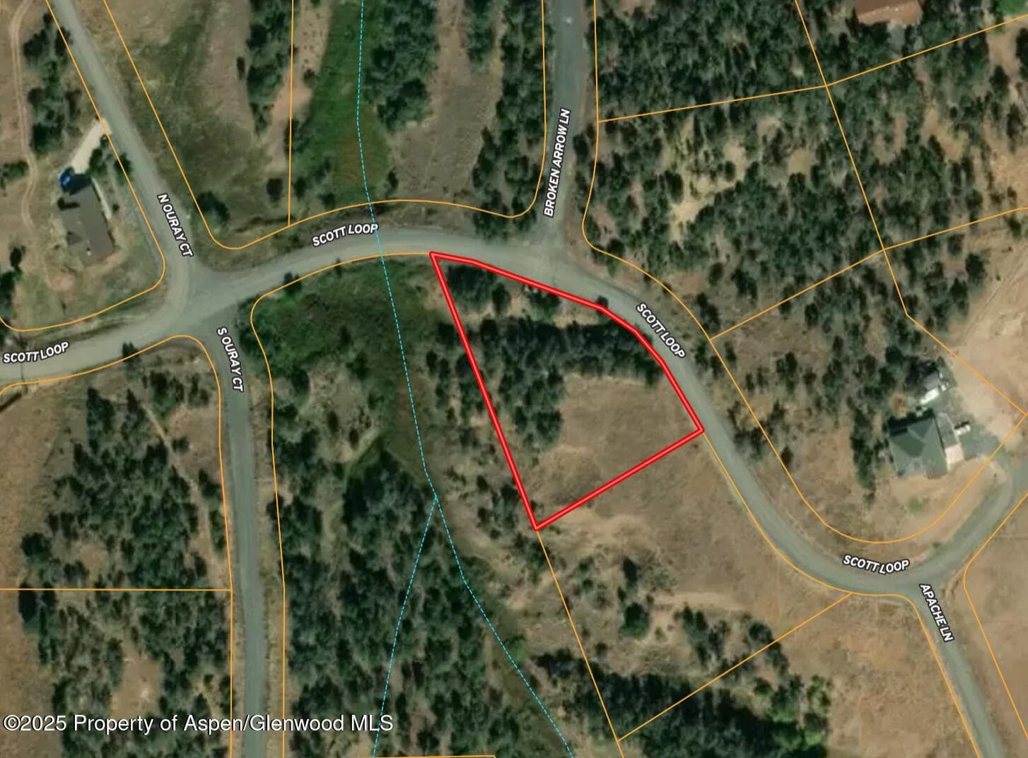 14495 Scott Loop, Collbran, CO 81624 - Photo 3