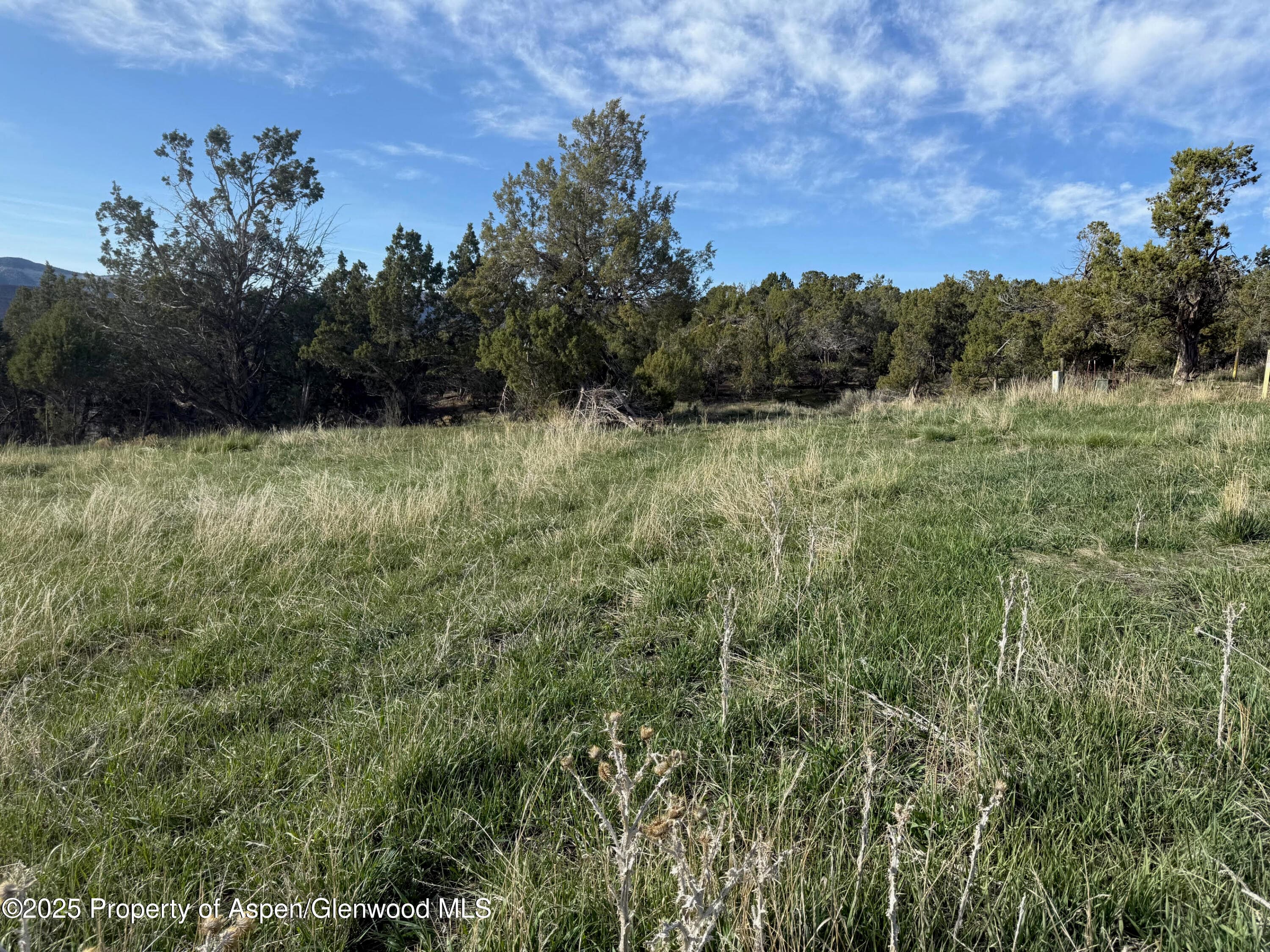 14495 Scott Loop, Collbran, CO 81624 - Photo 4