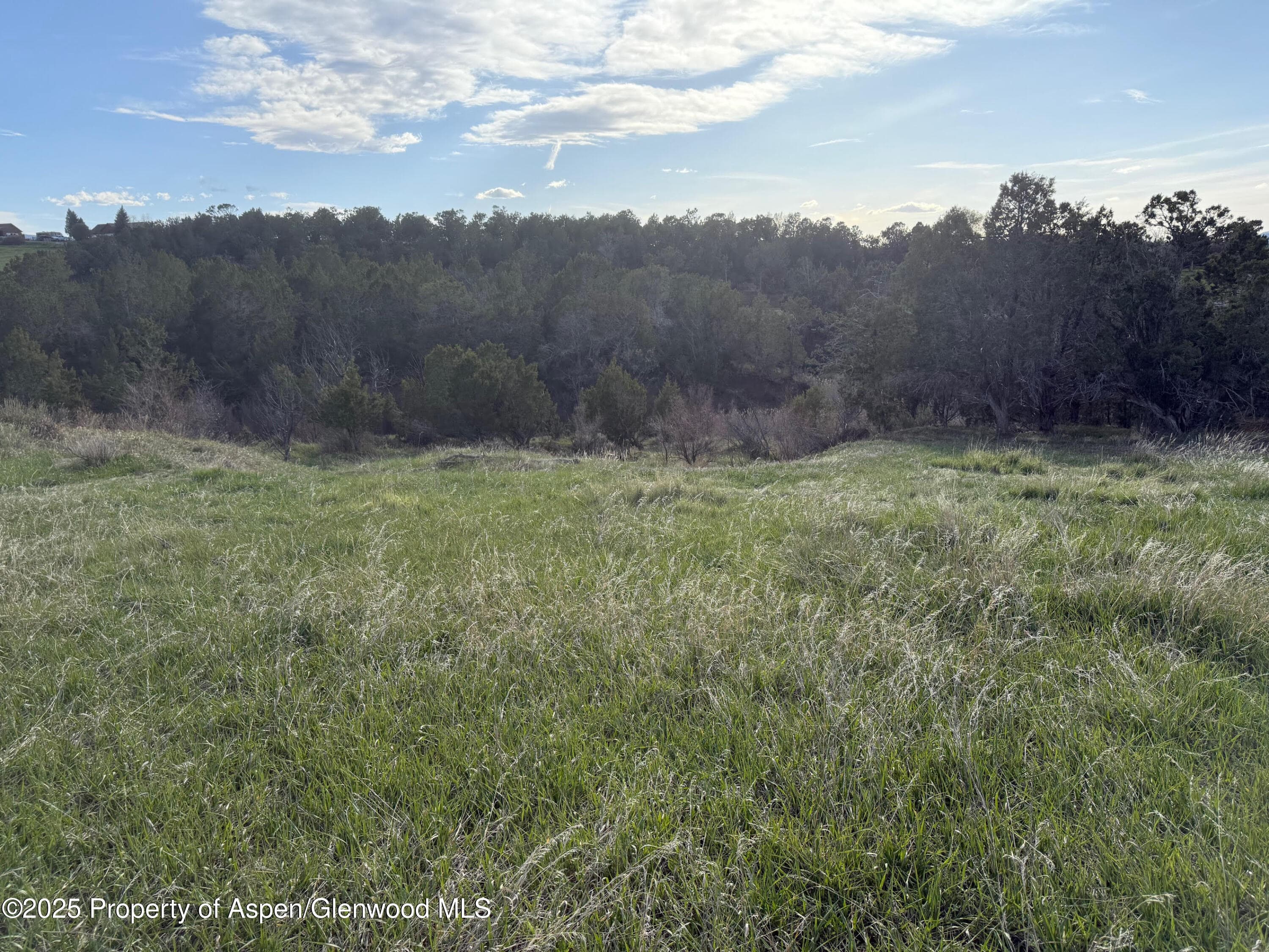14495 Scott Loop, Collbran, CO 81624 - Photo 5