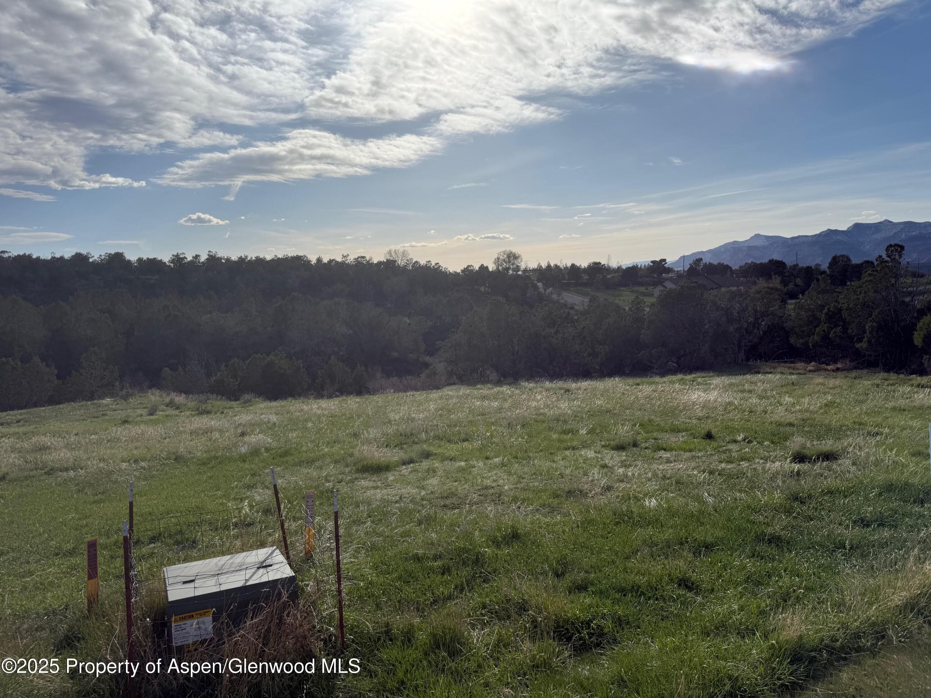 14495 Scott Loop, Collbran, CO 81624 - Photo 6