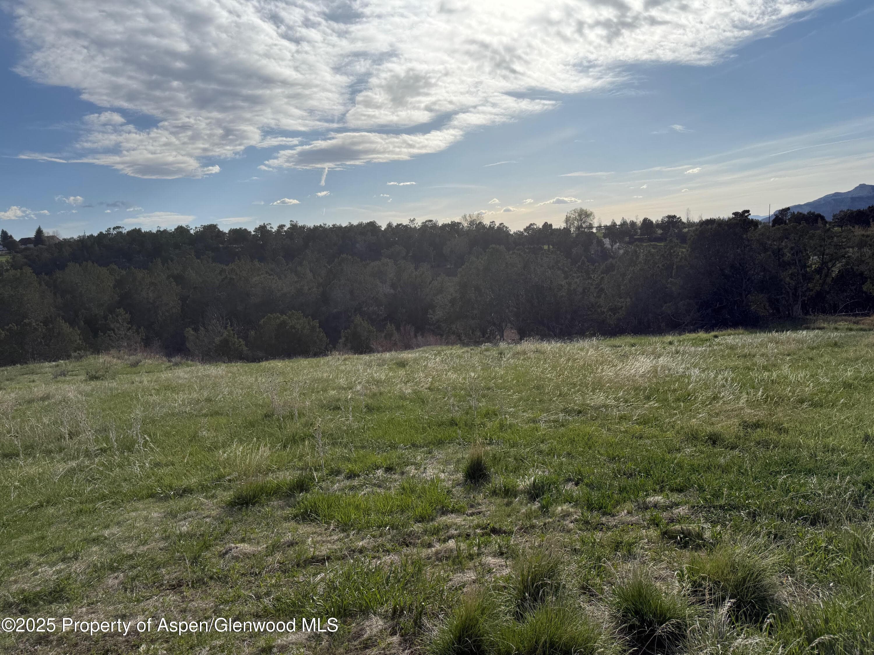 14495 Scott Loop, Collbran, CO 81624 - Photo 8