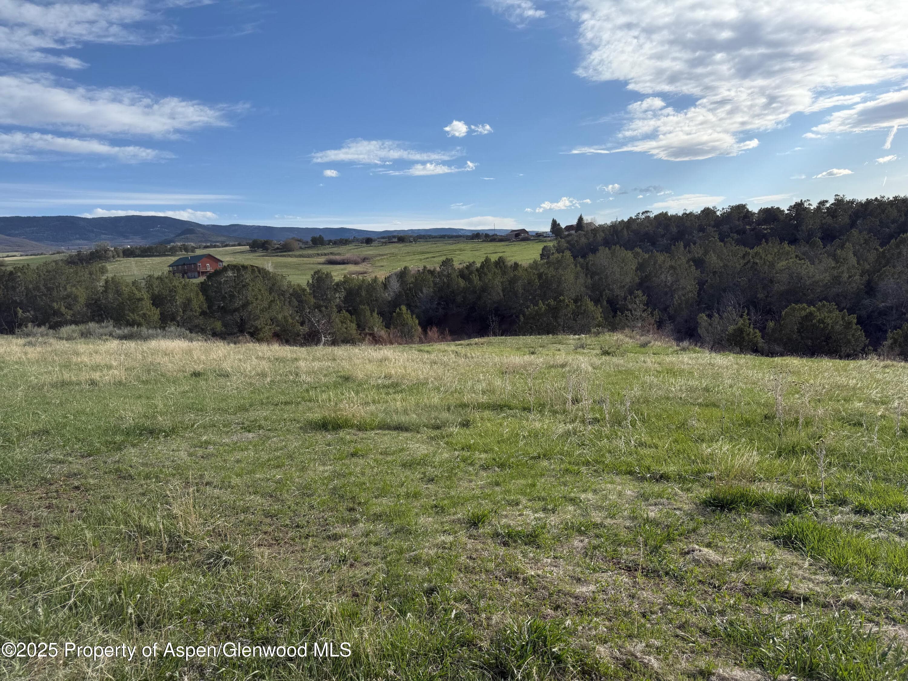 14495 Scott Loop, Collbran, CO 81624 - Photo 9