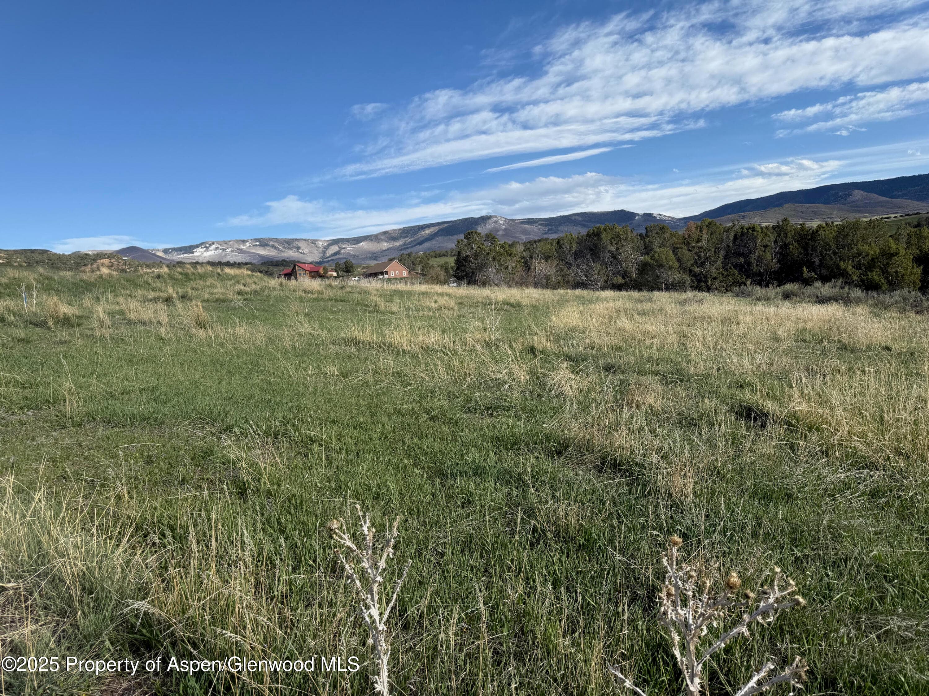 14495 Scott Loop, Collbran, CO 81624 - Photo 10