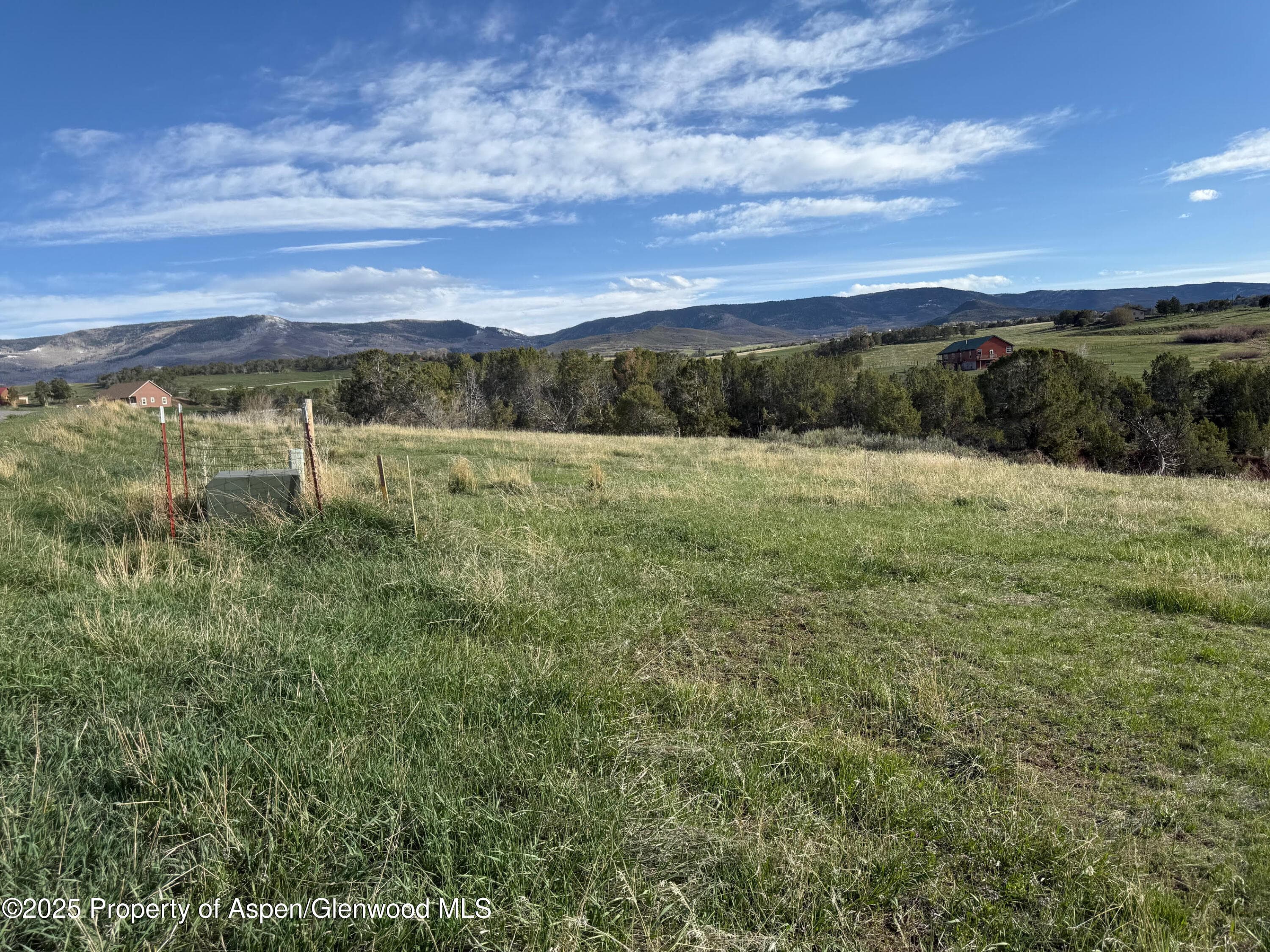 14495 Scott Loop, Collbran, CO 81624 - Photo 11