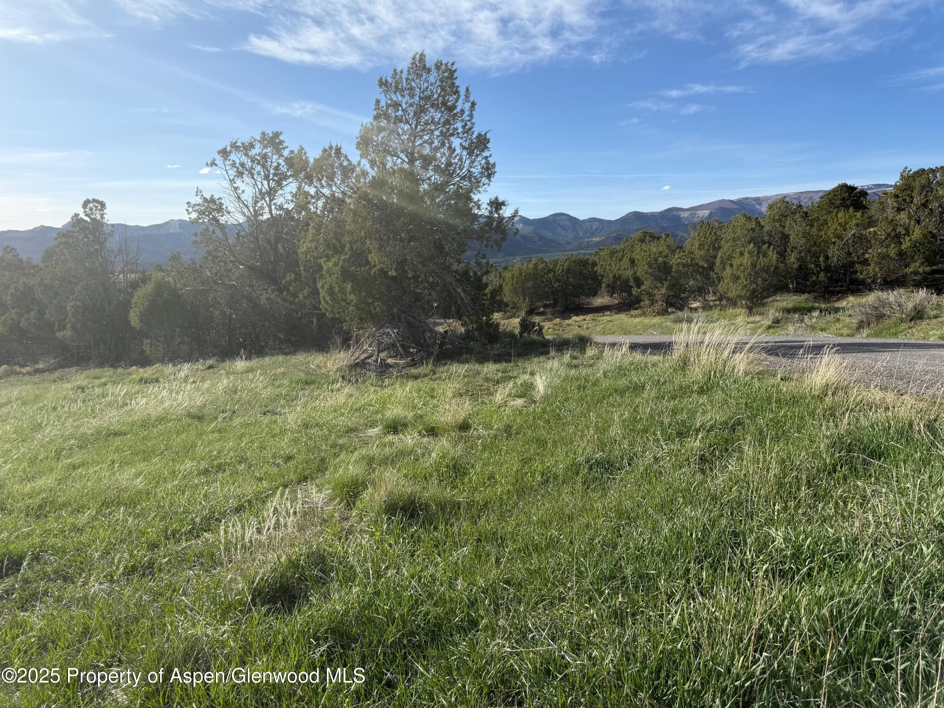 14495 Scott Loop, Collbran, CO 81624 - Photo 12