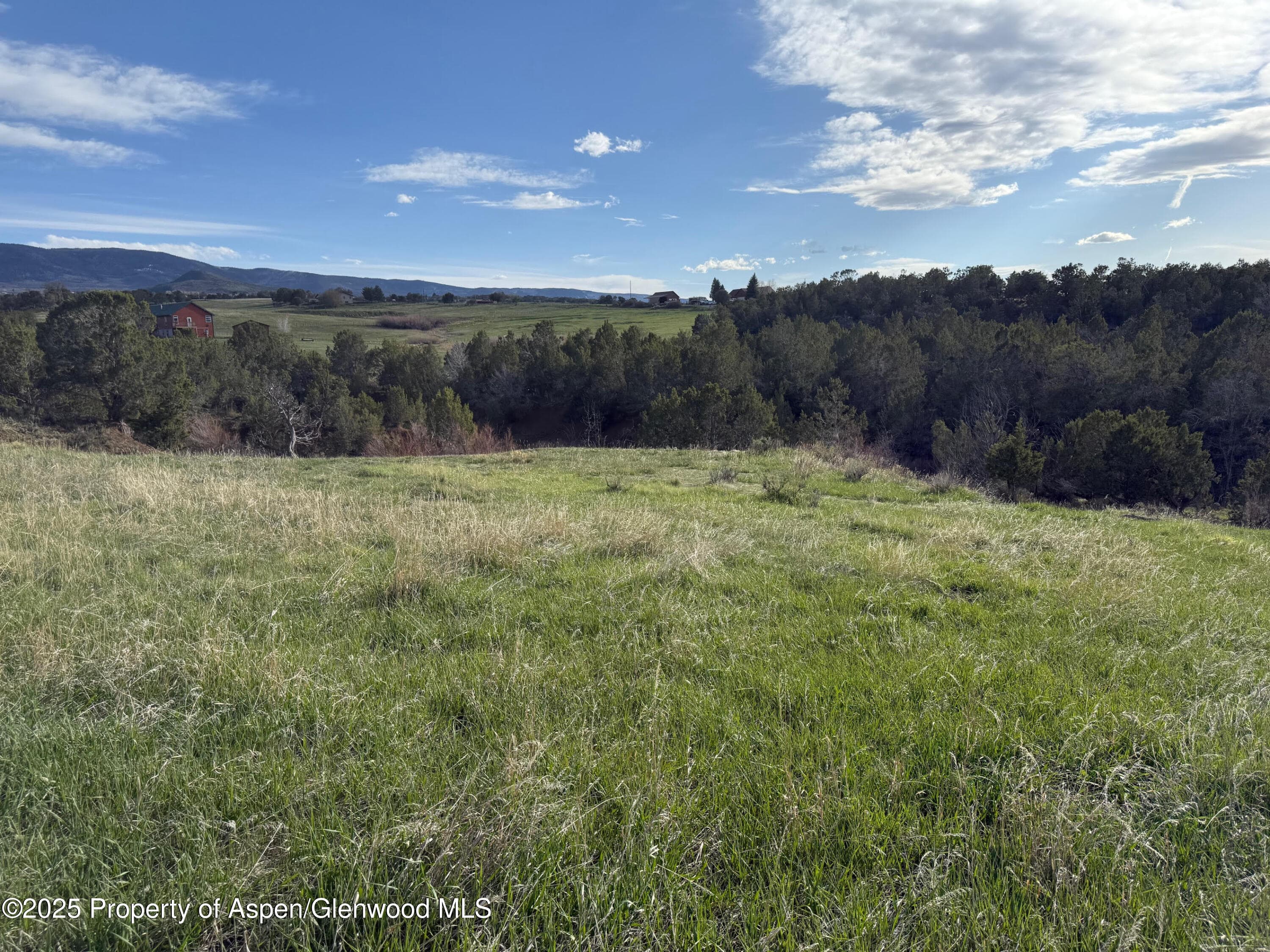 14495 Scott Loop, Collbran, CO 81624 - Photo 13
