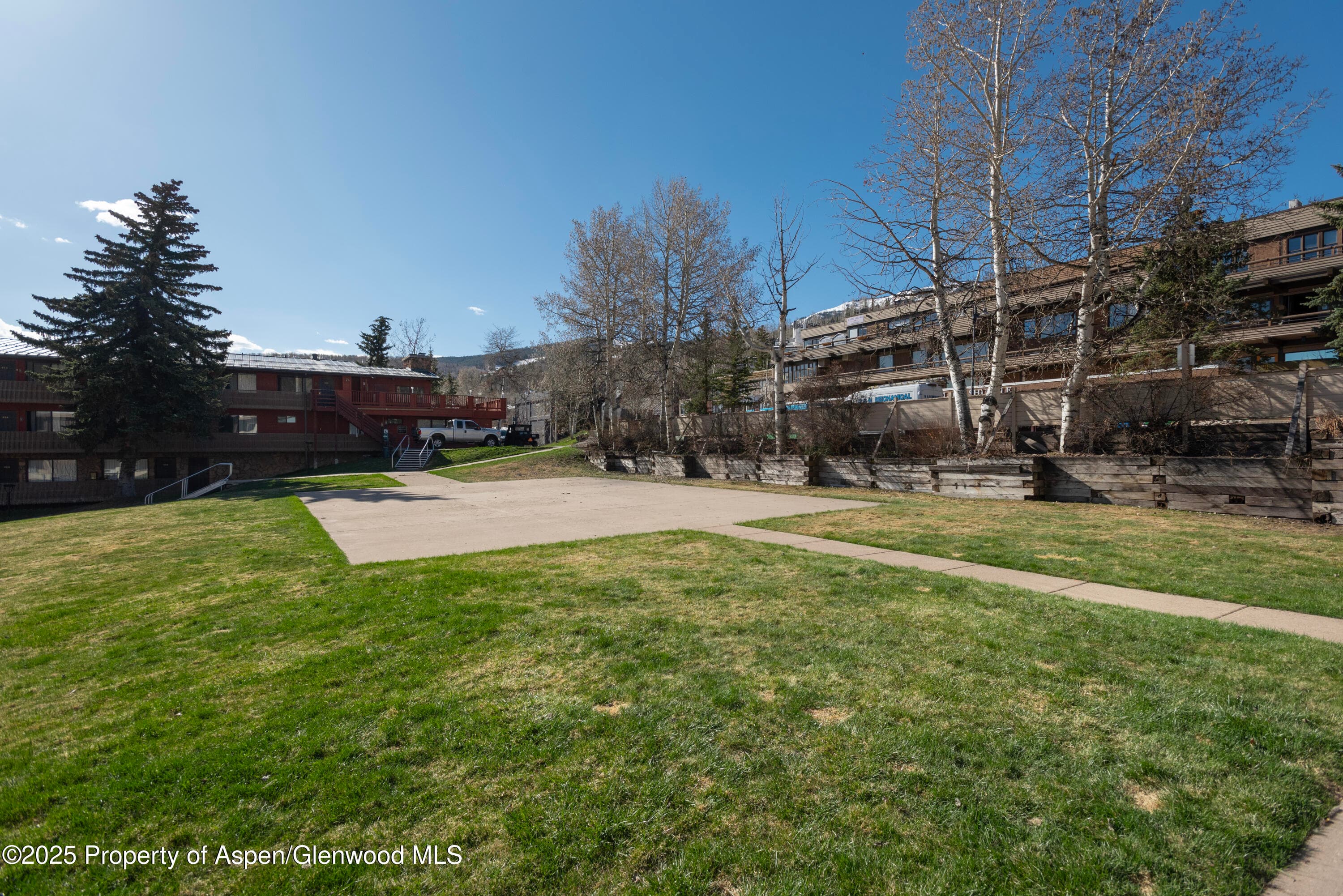 TBD Daly Lane, Snowmass Village, CO 81615 - Photo 7
